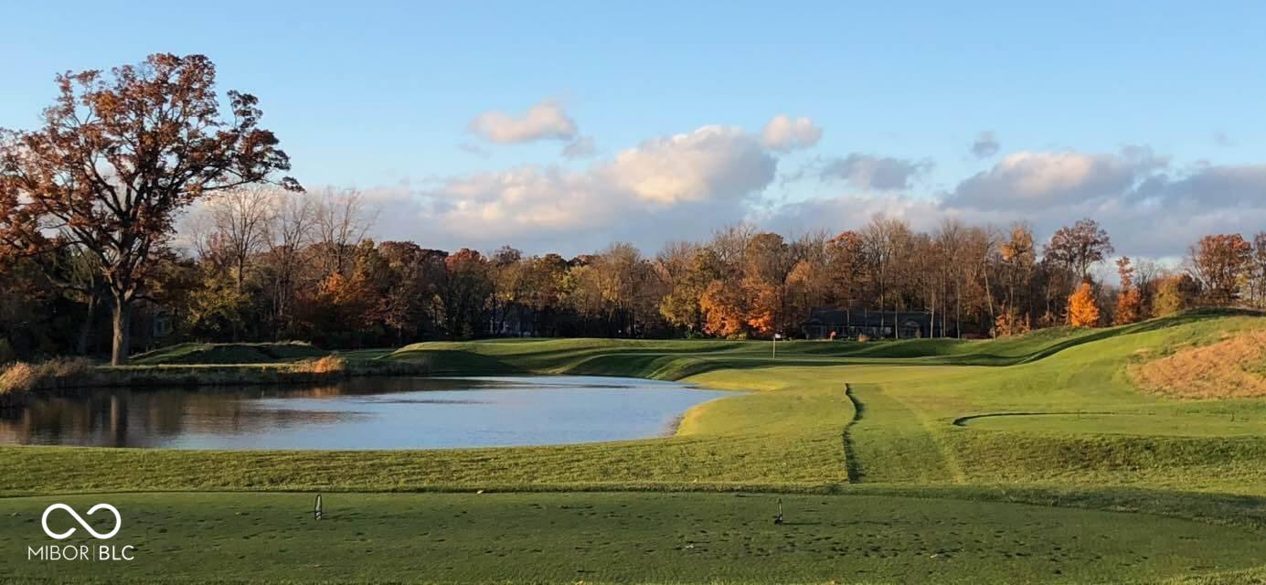 10837 Thunderbird Drive