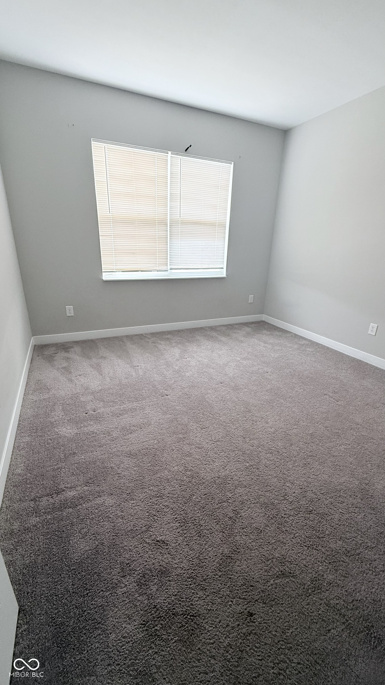 2431 S Carlota Drive