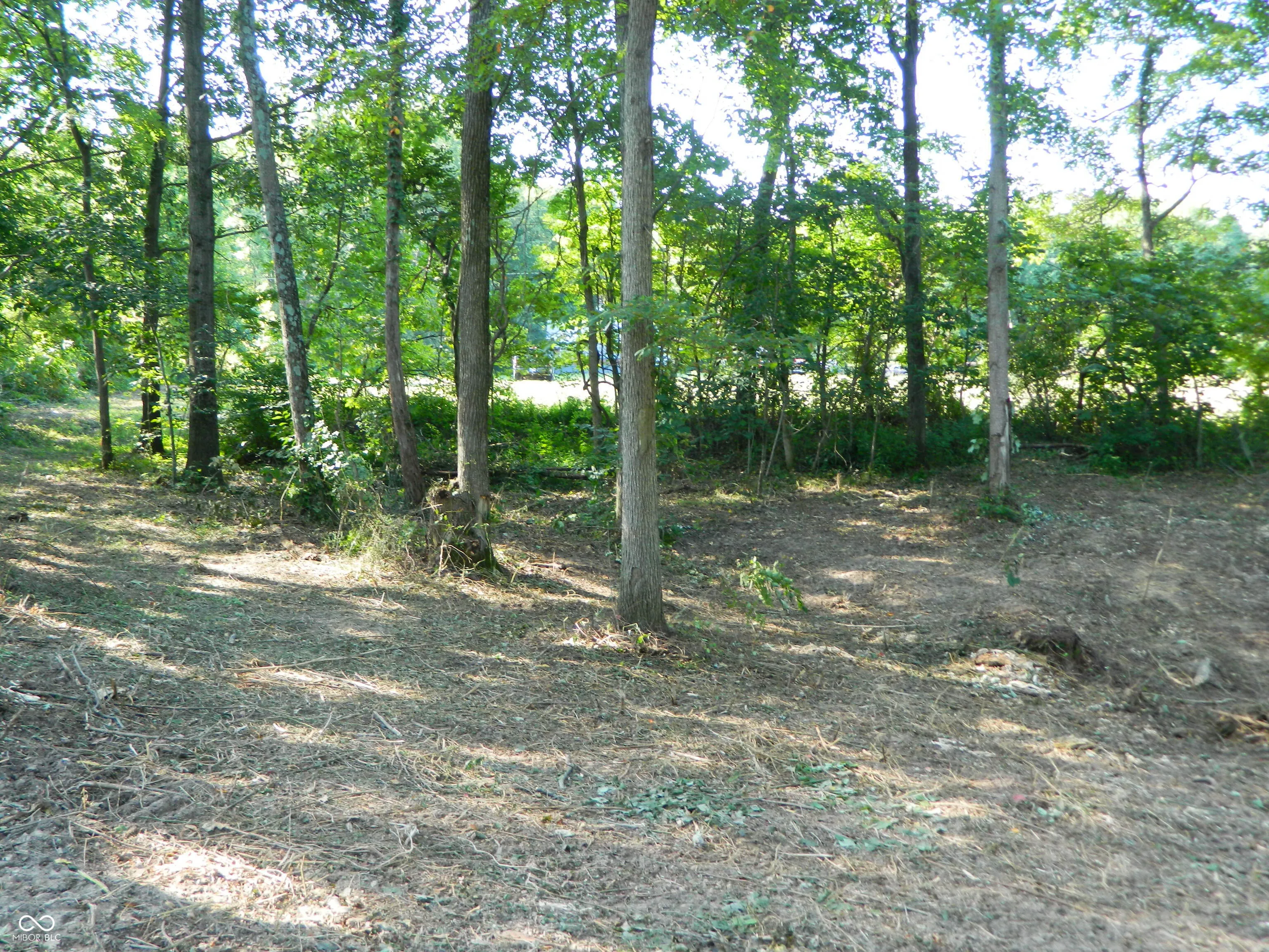 Seymour, Indiana 47274, United States, ,Land,Active,83769