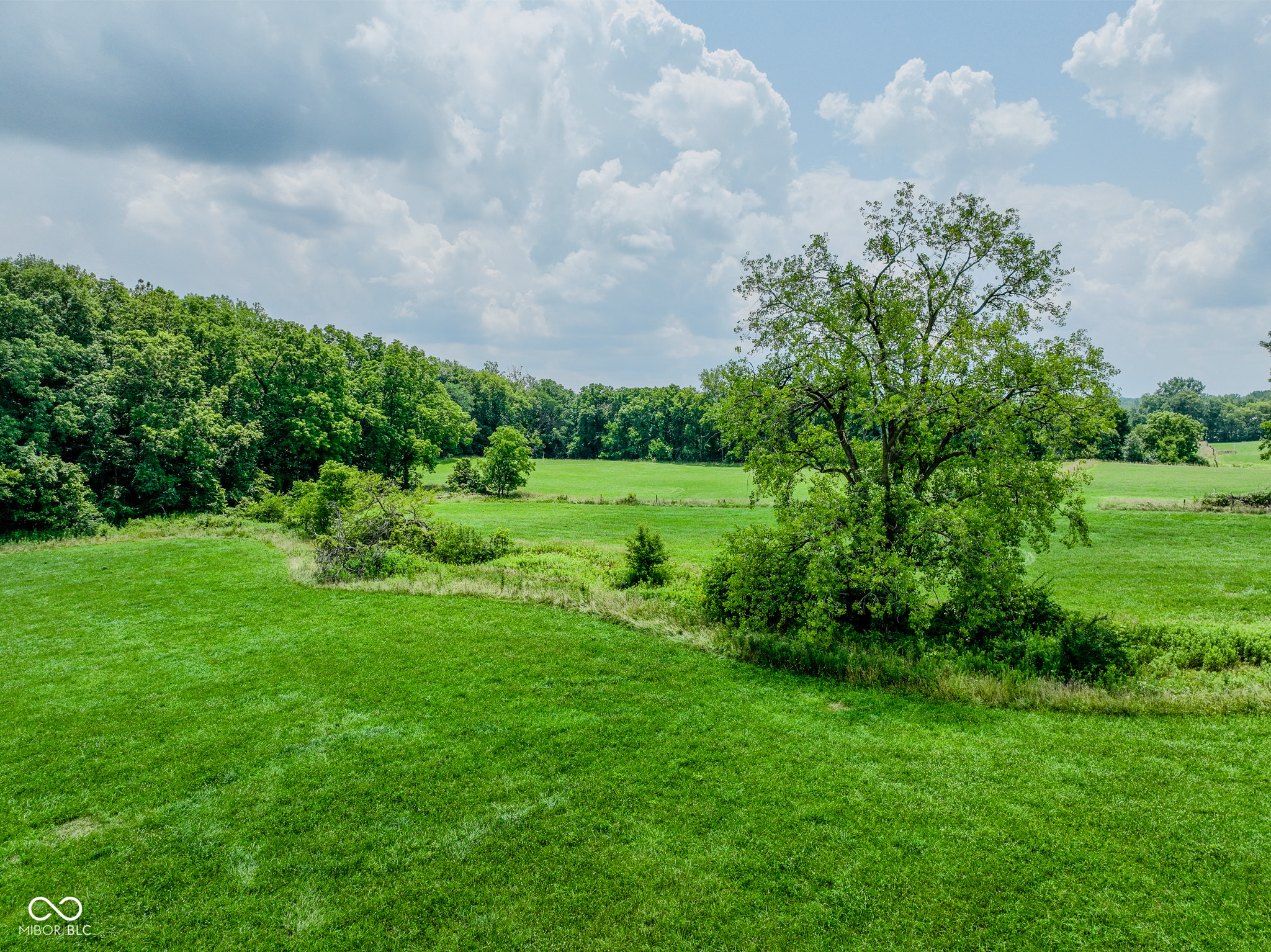 1645 Dye Creek Court