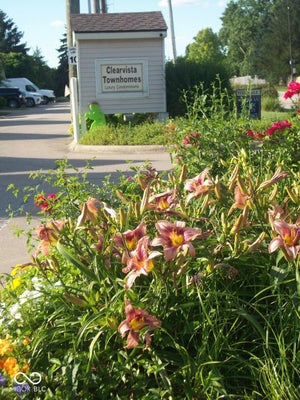 8422 HAGUE RD, INDIANAPOLIS, IN 46256 - Image 26f90cad5eb30cfa1eb6bce3677d7c21/843974270