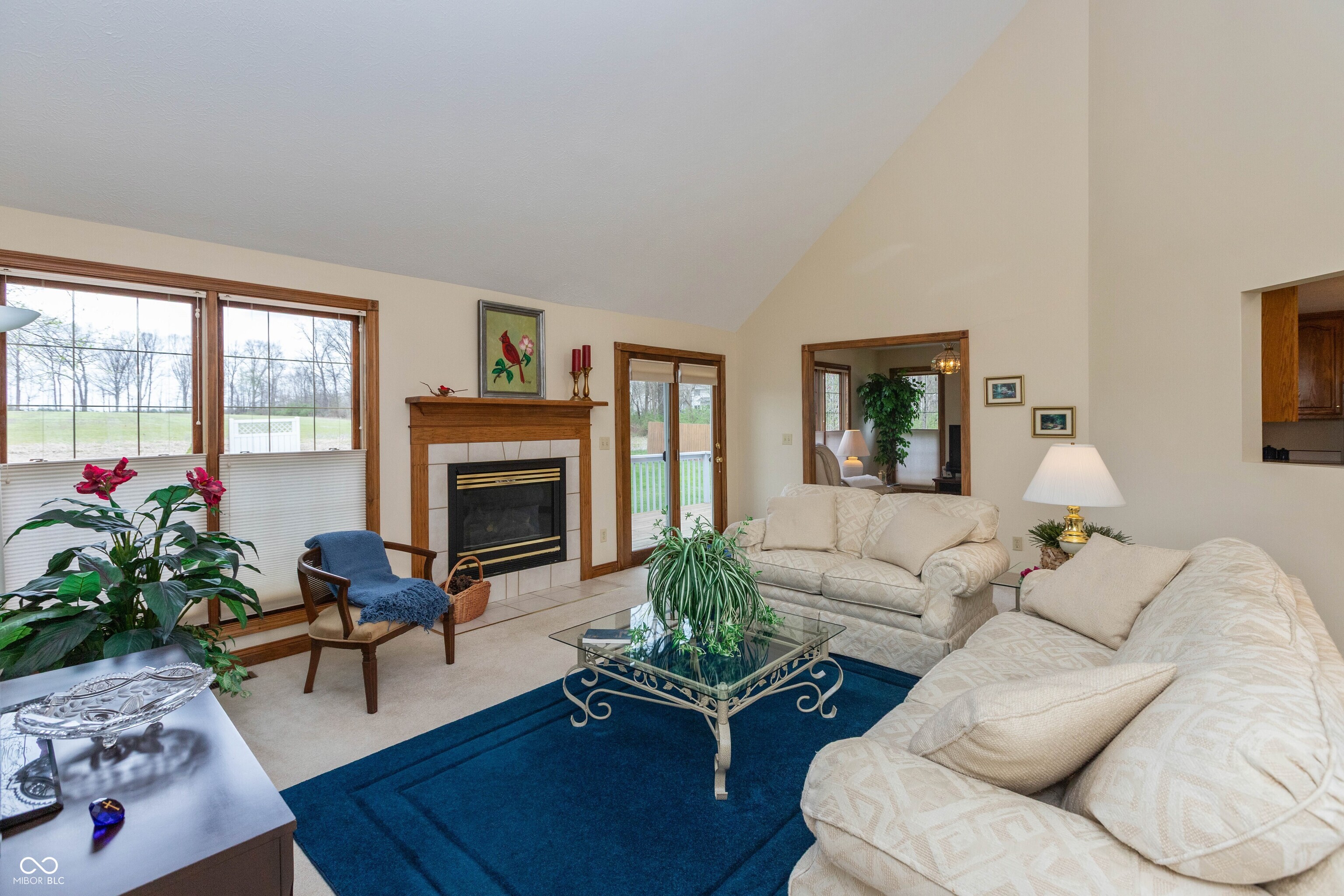 349 Mutton Creek Drive