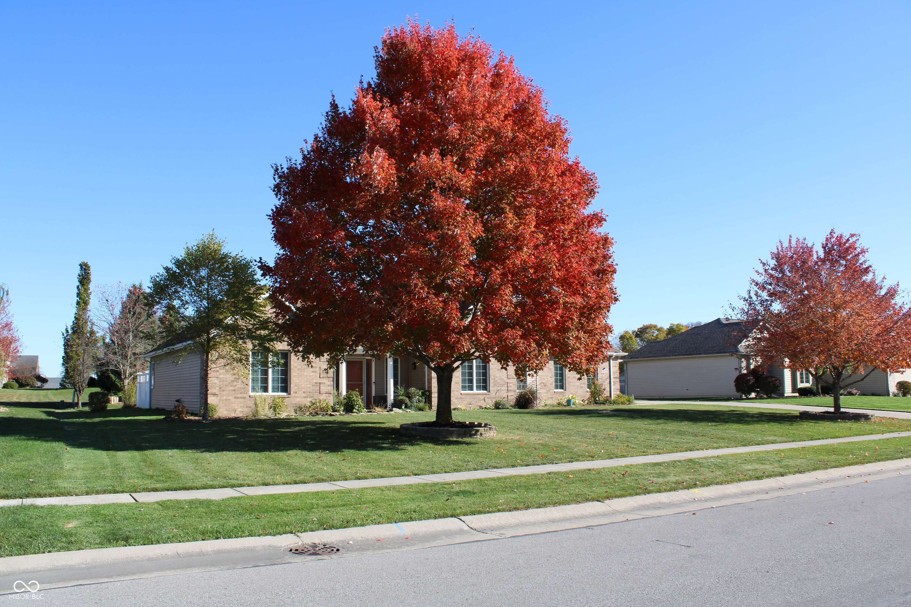 408 Steeplechase Drive