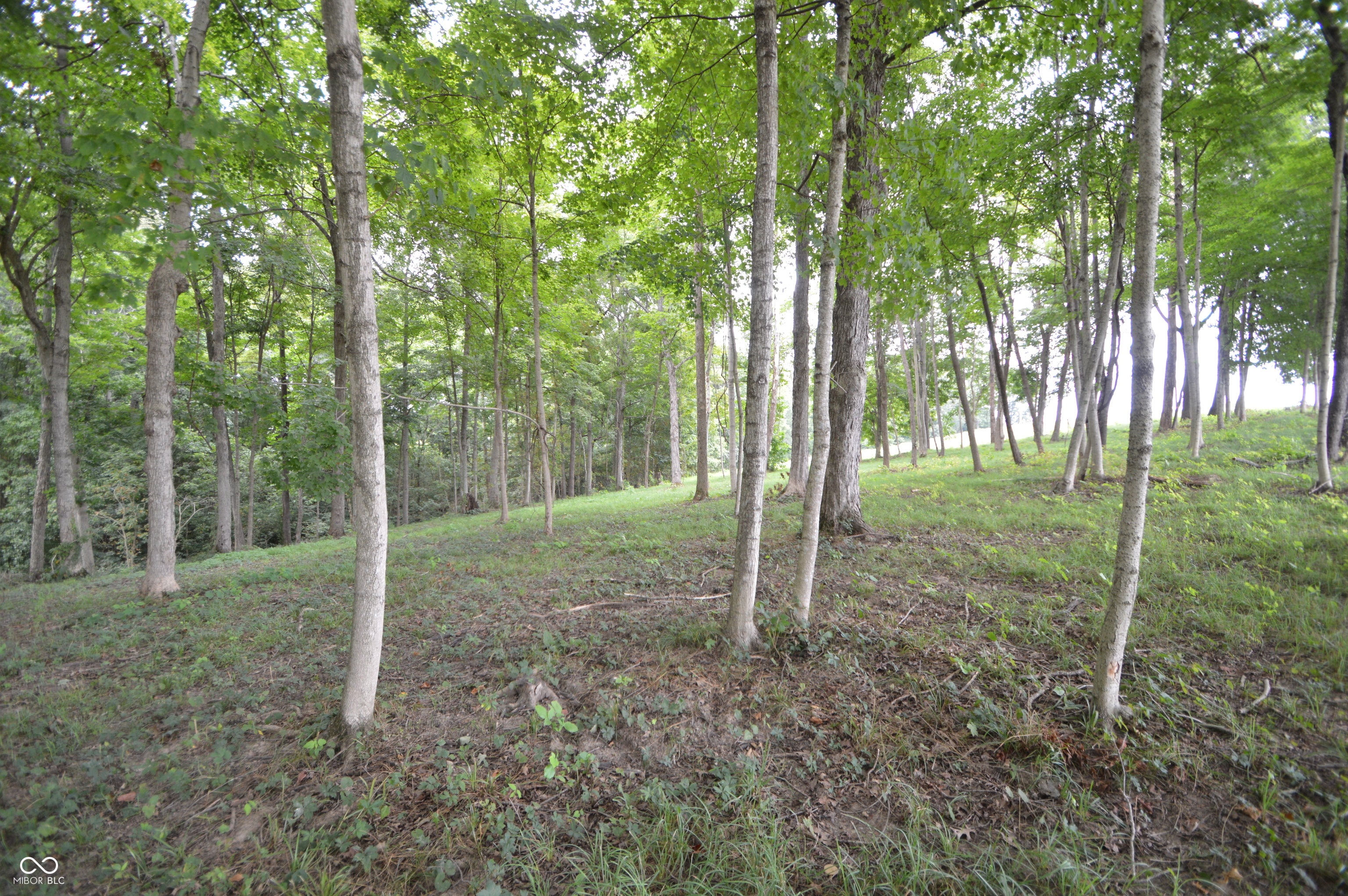 Tract J W County Road 675 N