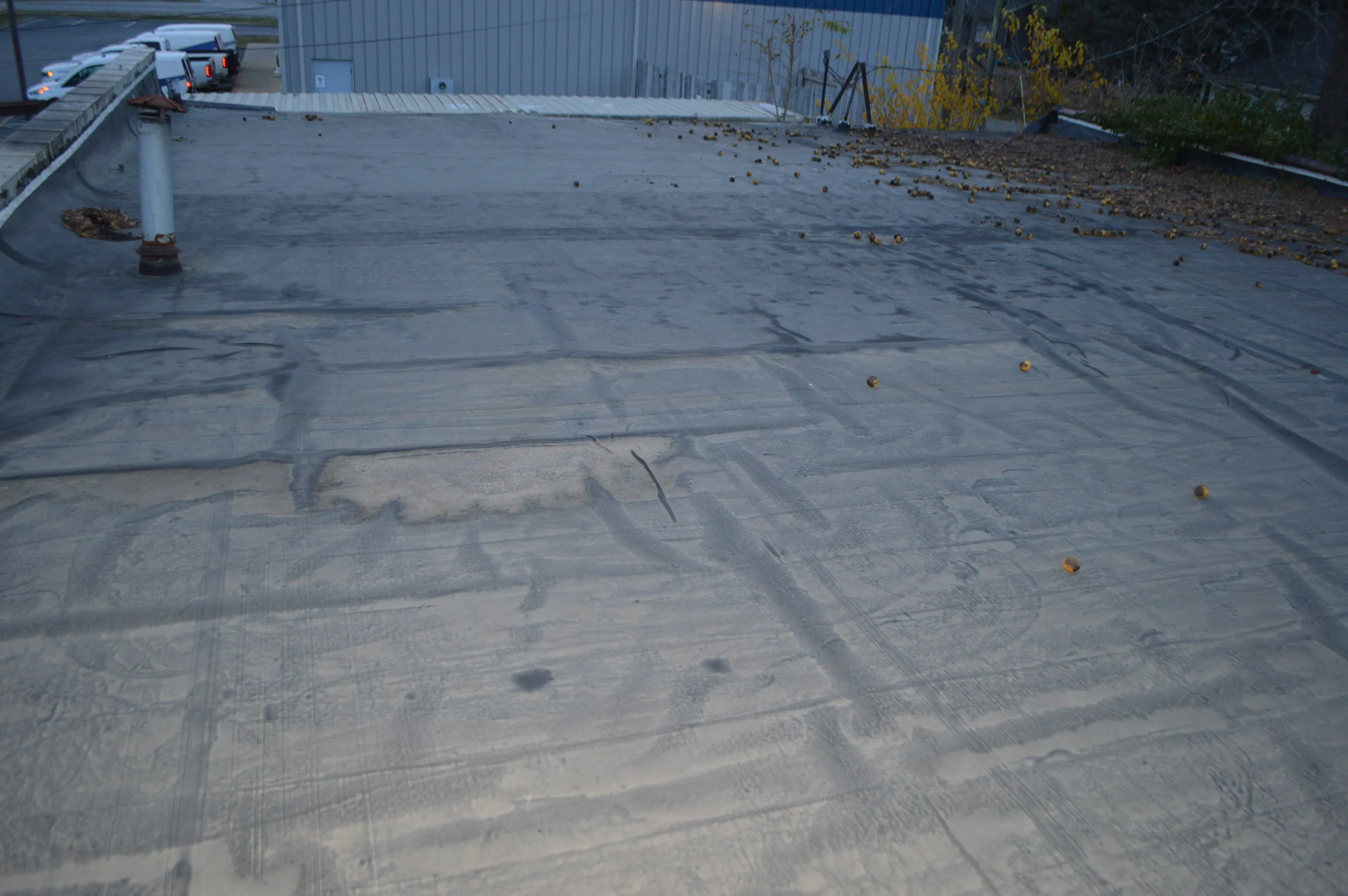 Indianapolis, Indiana 46219, United States, ,Commercial,Active,65825