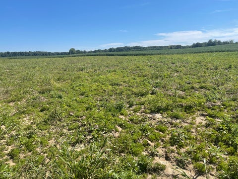 Photo for 1 W CR 990 North Tract 