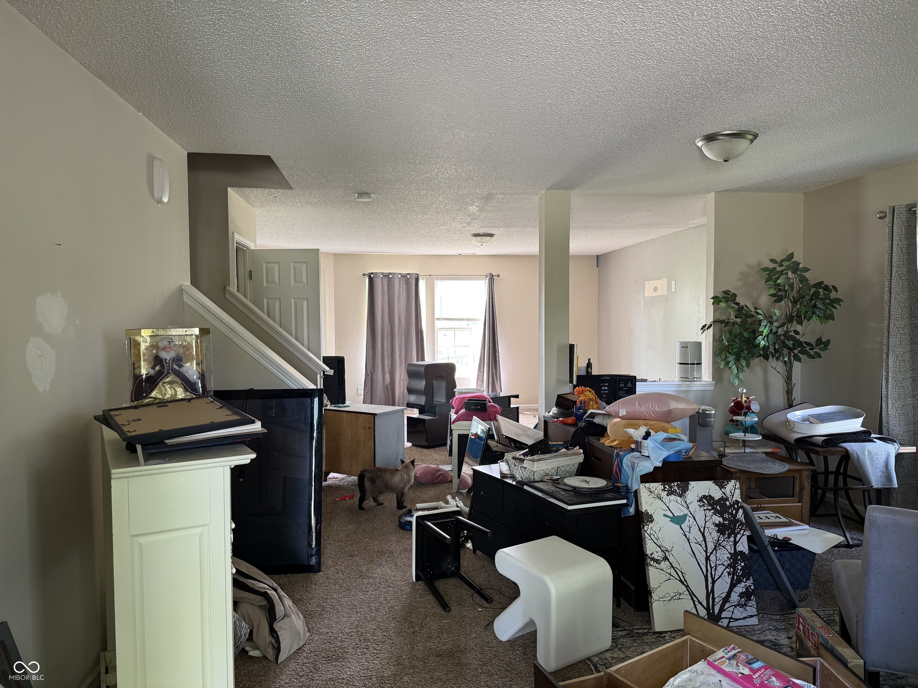 10803 Gathering Drive