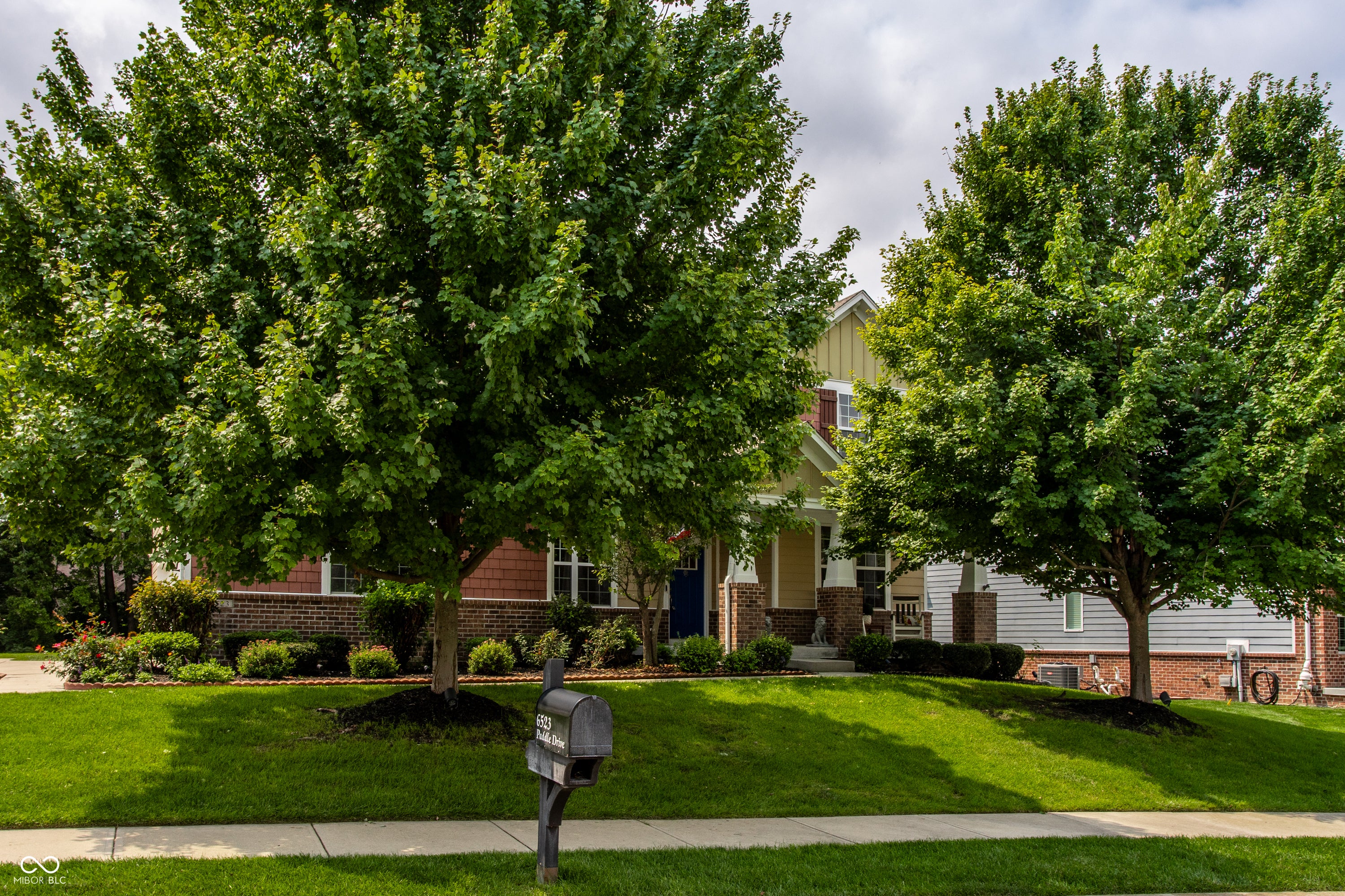 6523 Paddle Drive