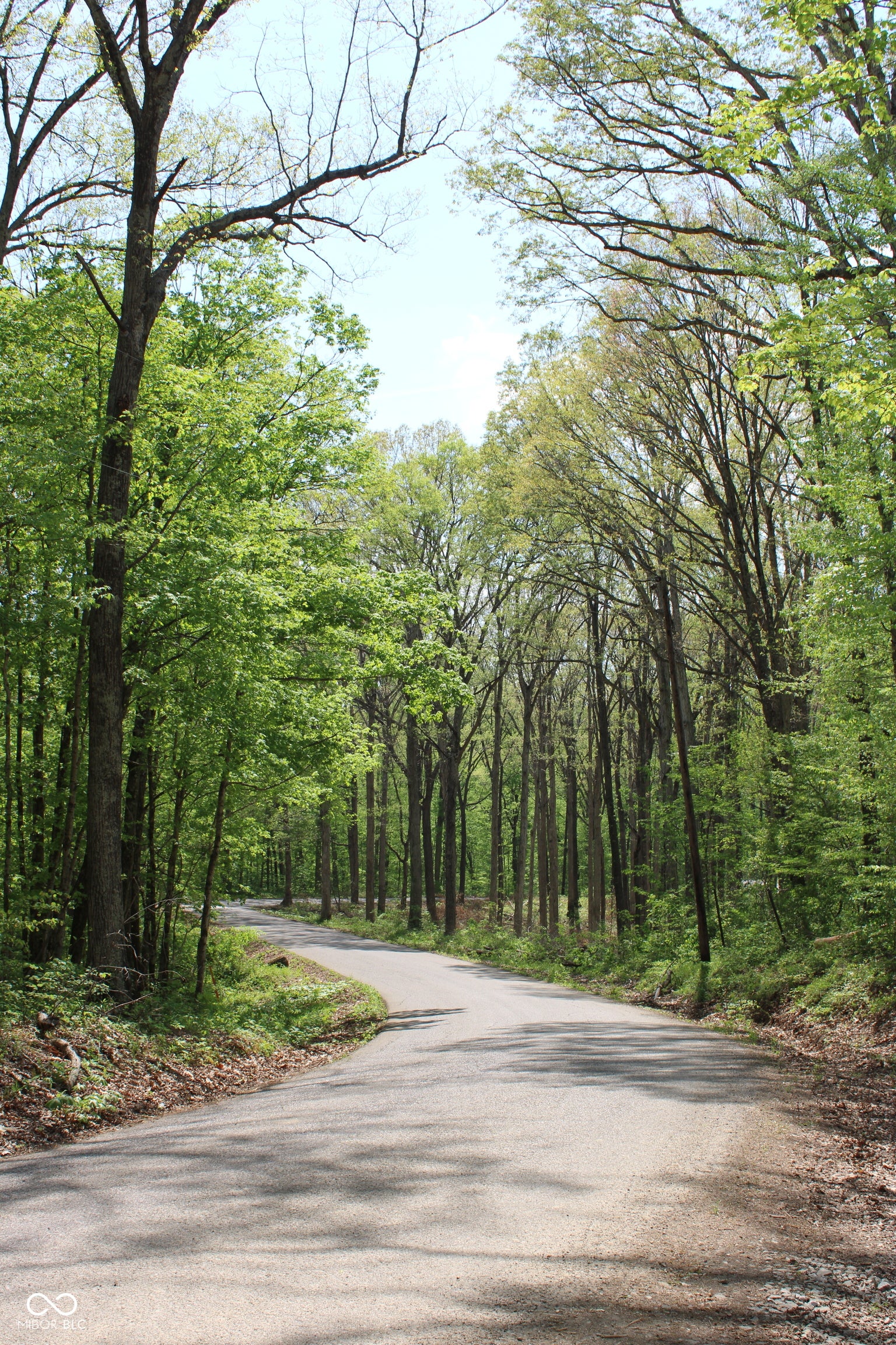 Tract 4: 0 N County Road 555 E