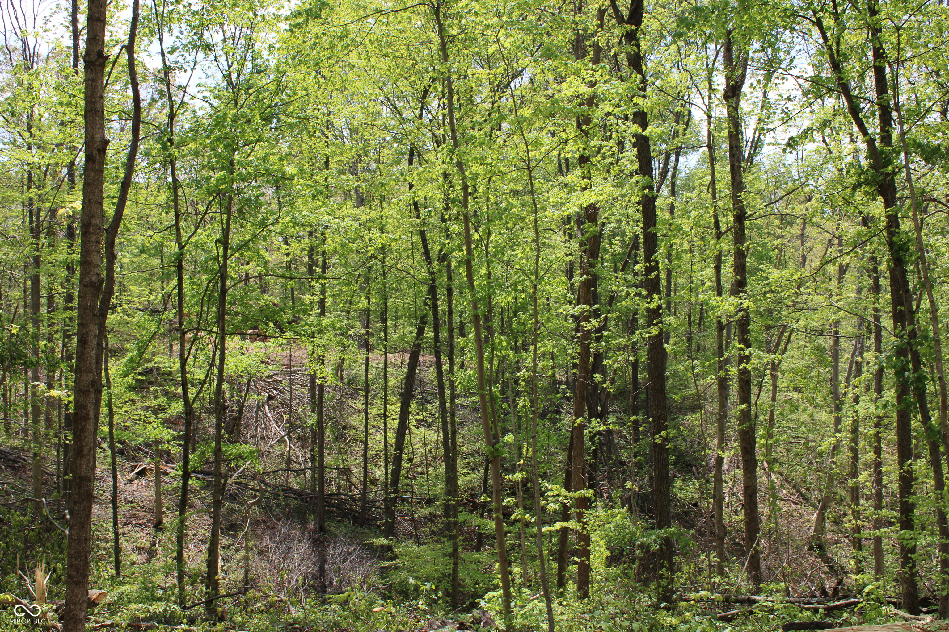 Tract 4: 0 N County Road 555 E