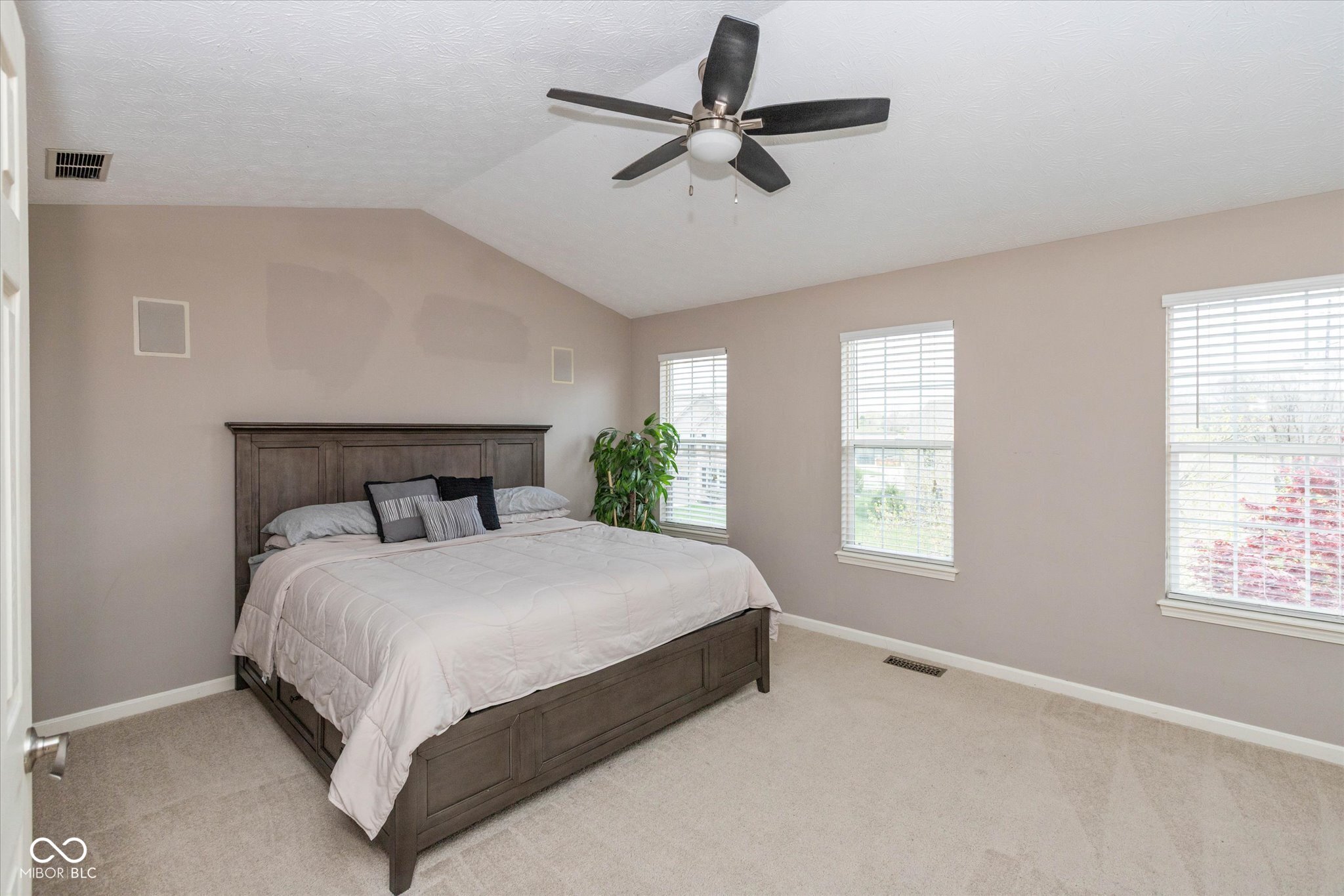 9756 Scotch Pine Court