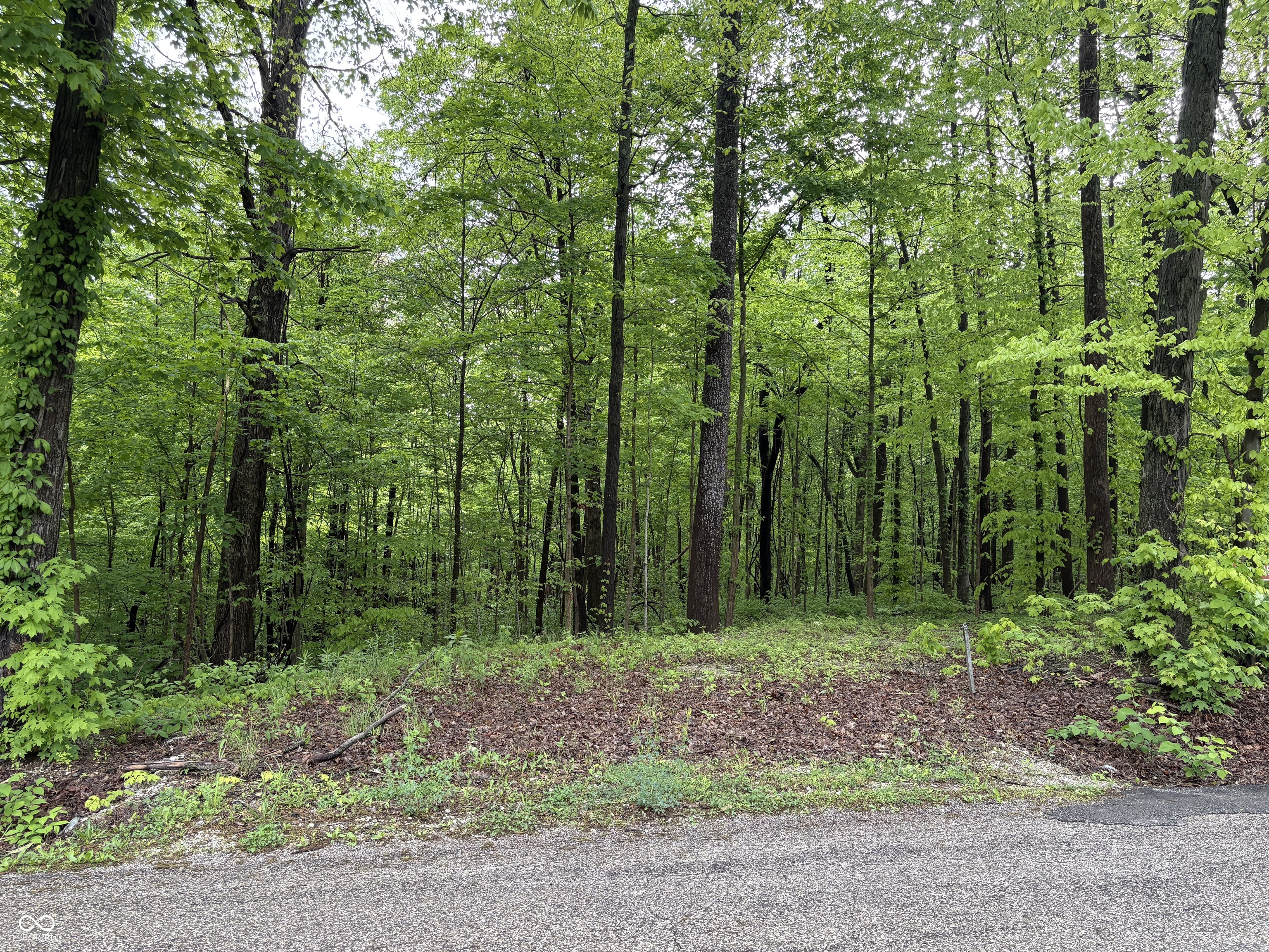 3201 Hancock Ridge Road