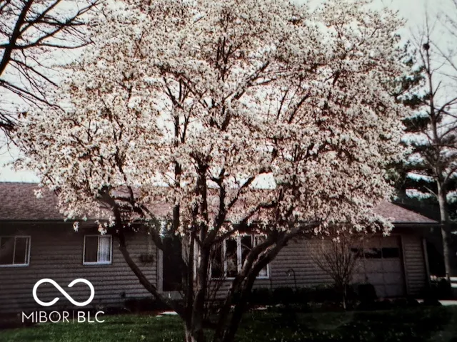 Greenfield, Indiana 46140, United States, 3 Bedrooms Bedrooms, ,2 BathroomsBathrooms,Residential,Pending,82990