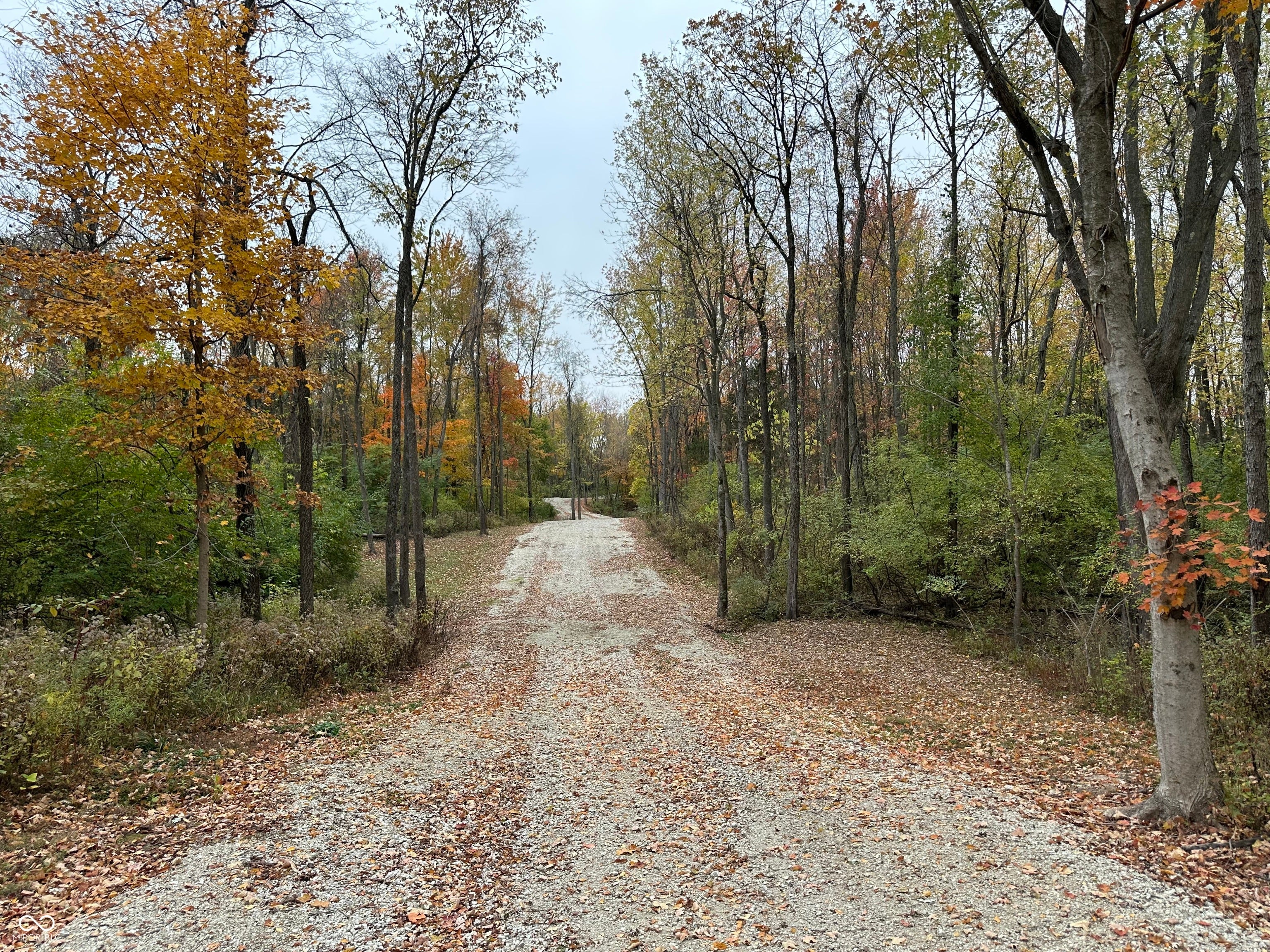 8201 S State Road 39