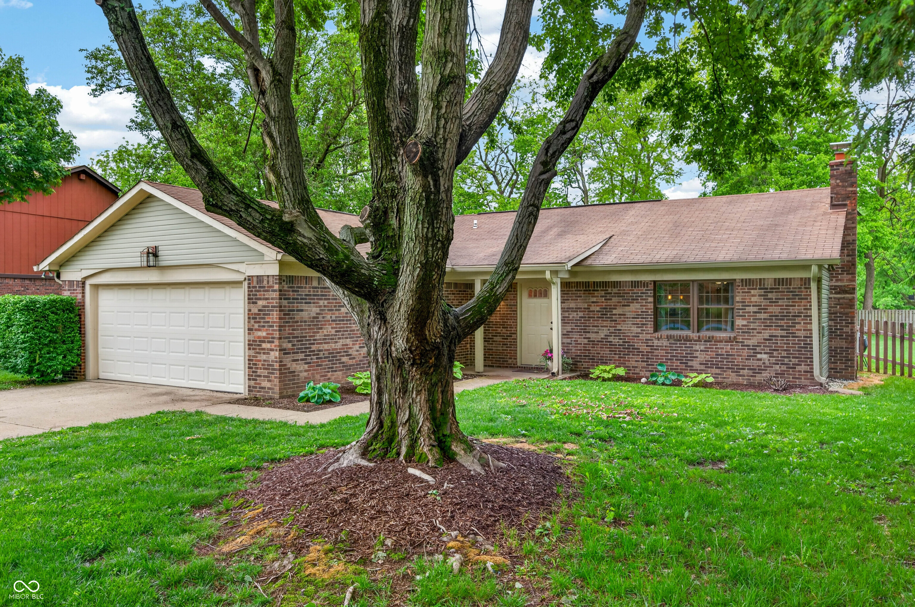 8414 Slippery Elm Court