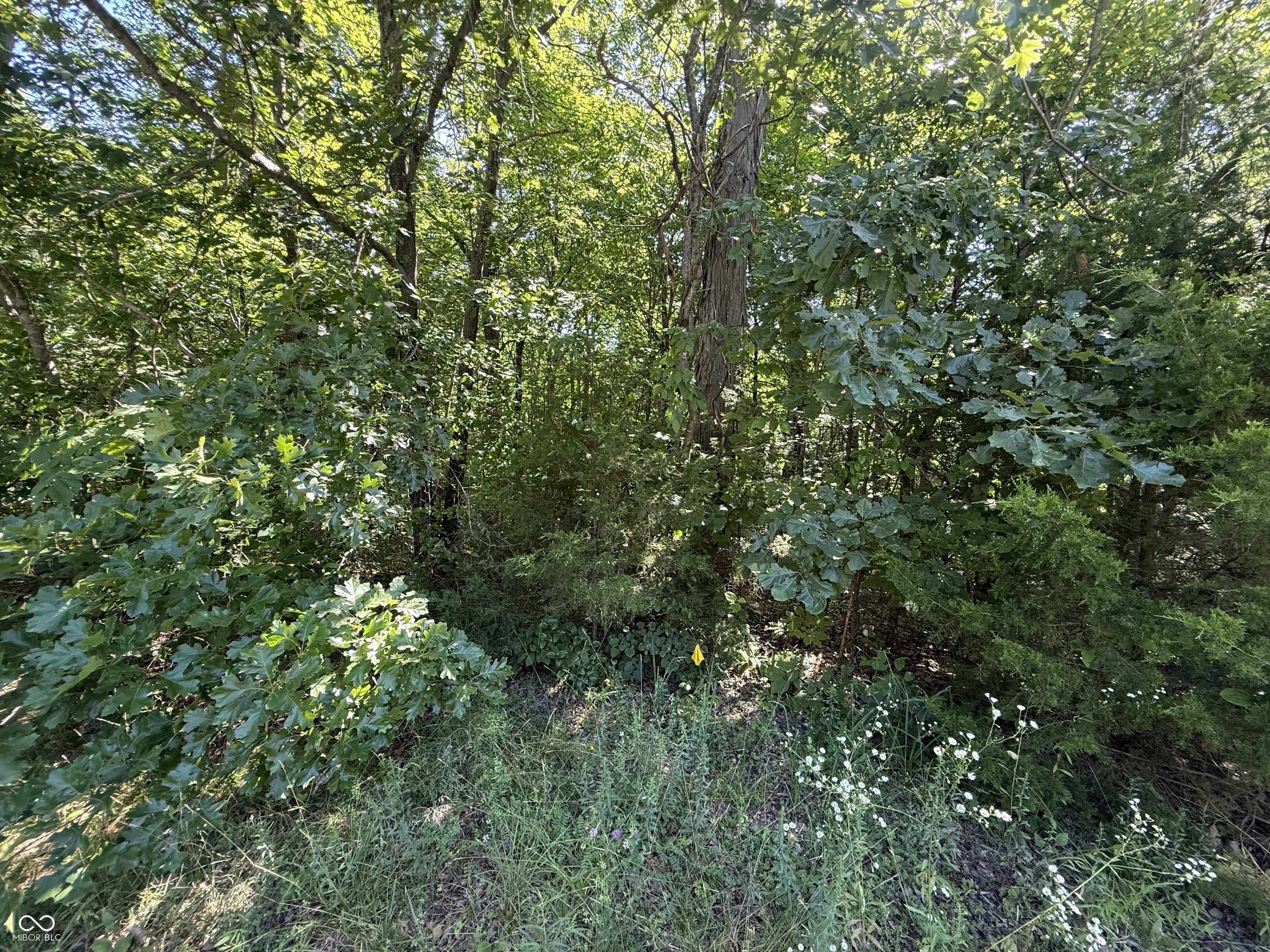6579 Nicole Drive