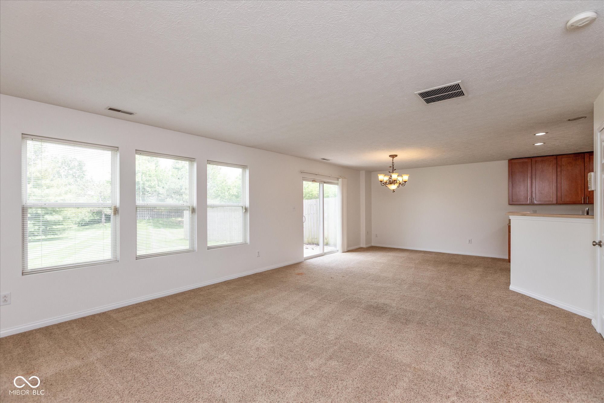 163 Clear Branch Drive