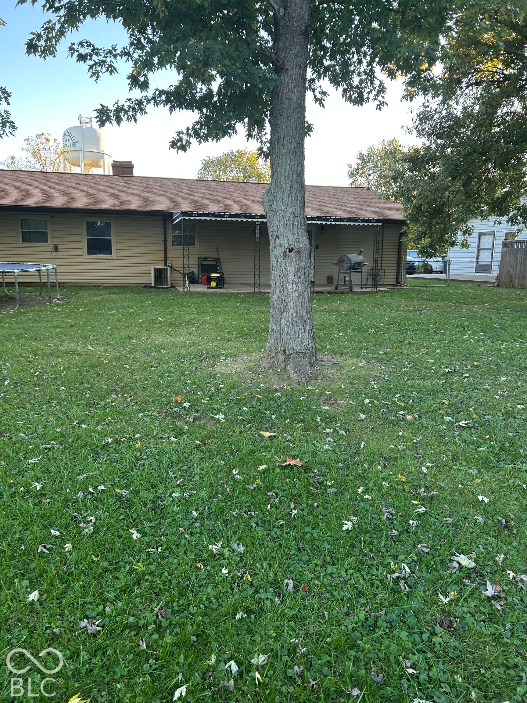 310 Shelton