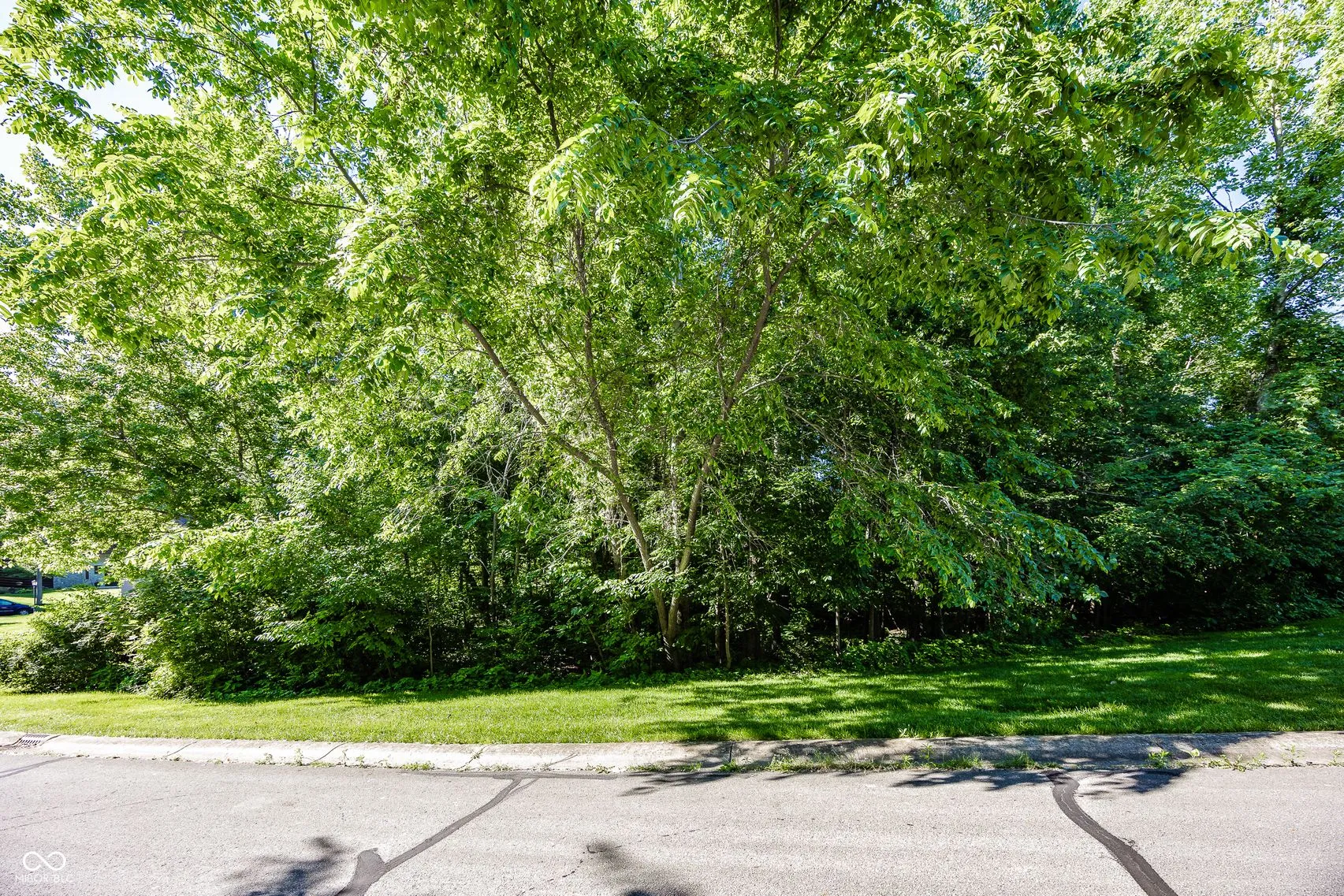 Fishers, Indiana 46040, United States, ,Land,Active,64999