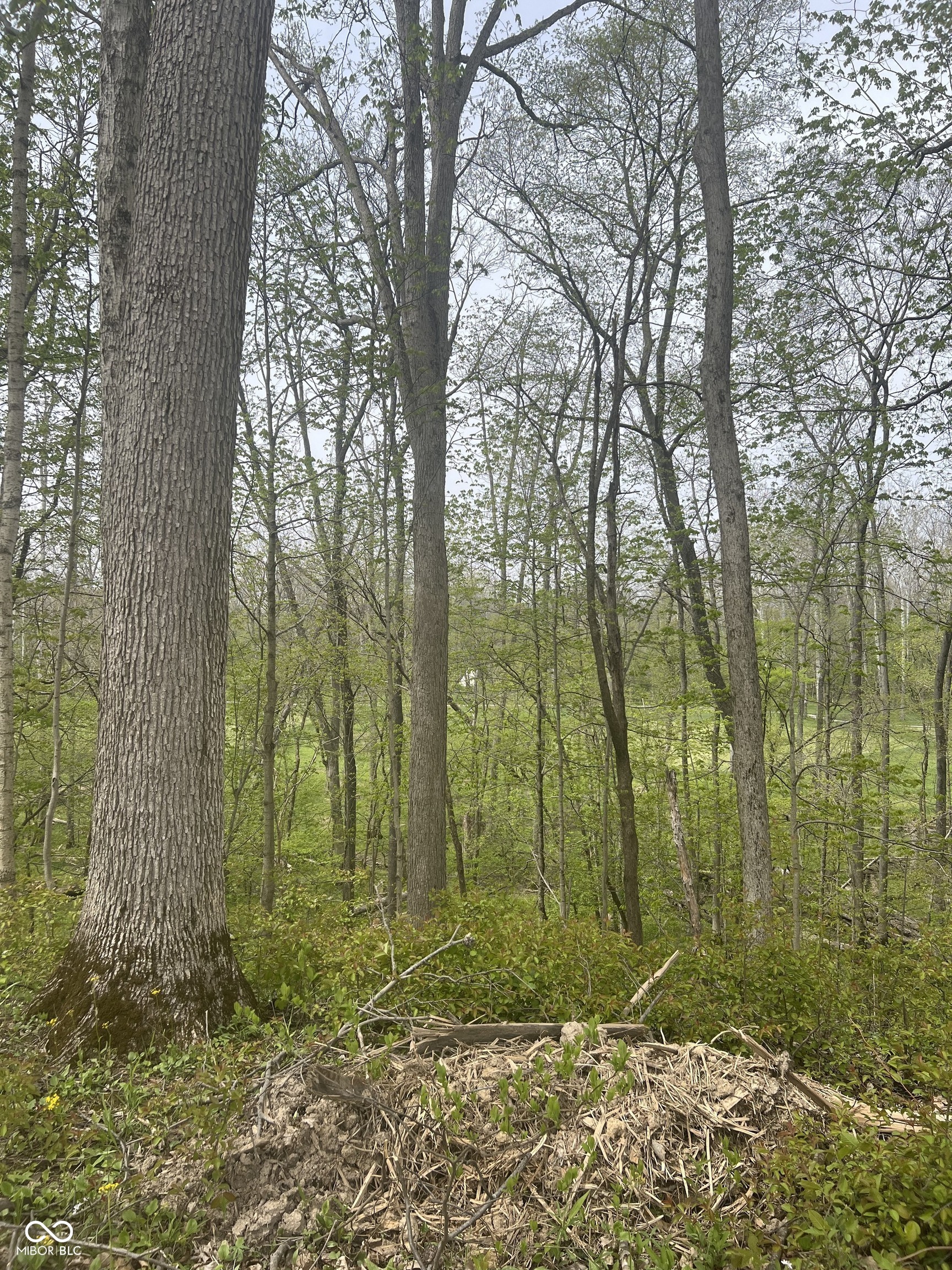 10382 Holliday Farms Boulevard