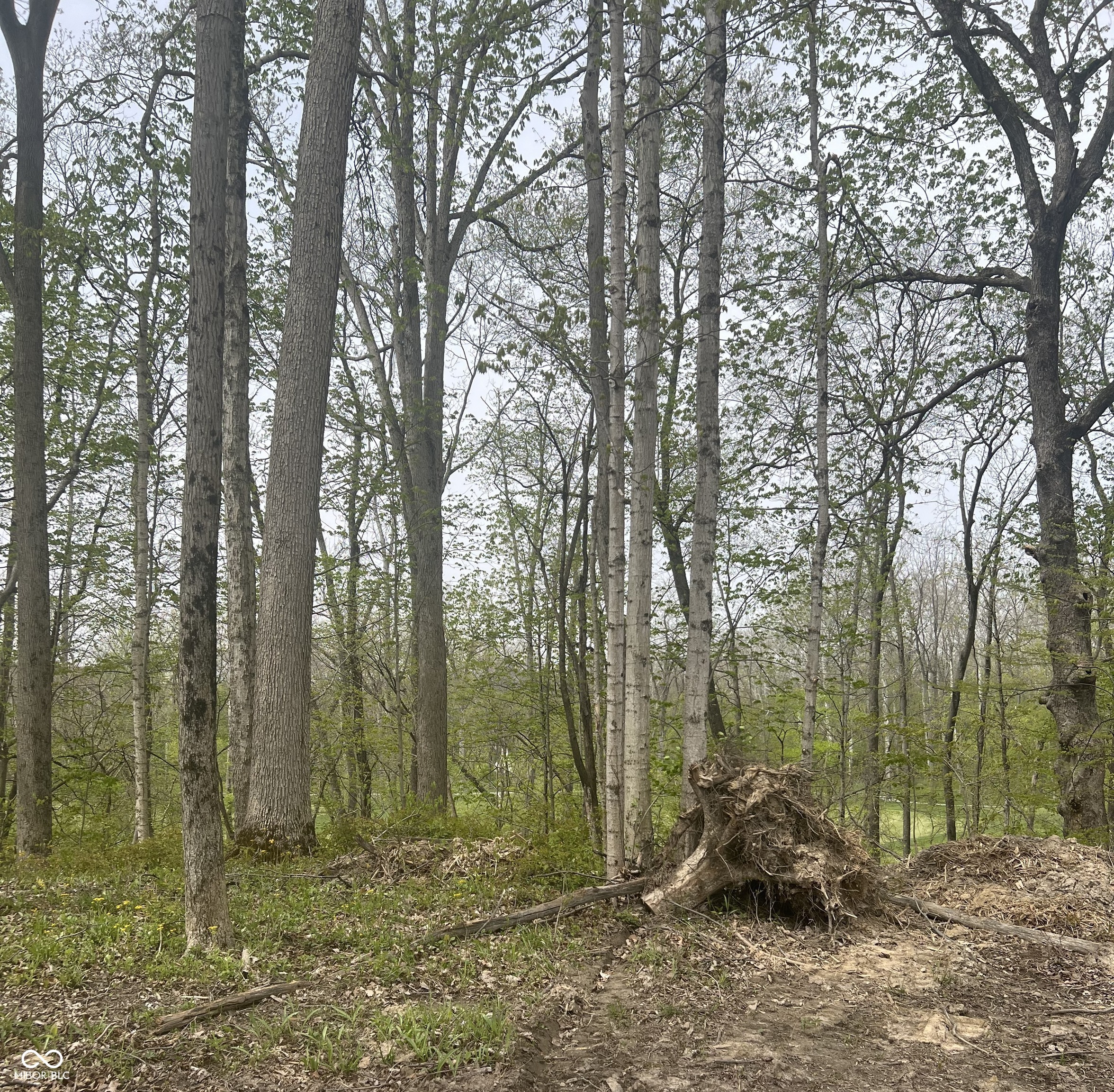 10382 Holliday Farms Boulevard