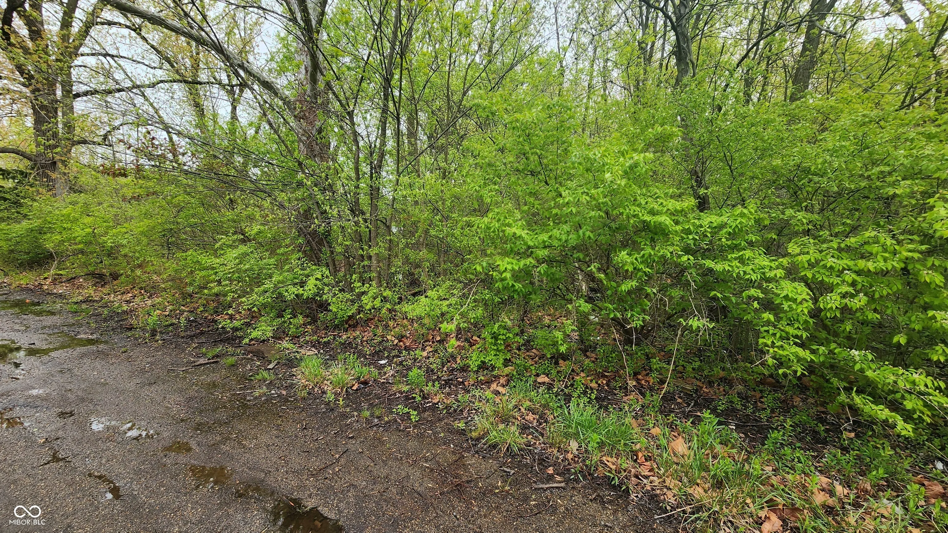 Indianapolis, Indiana 46203, United States, ,Land,Active,210613