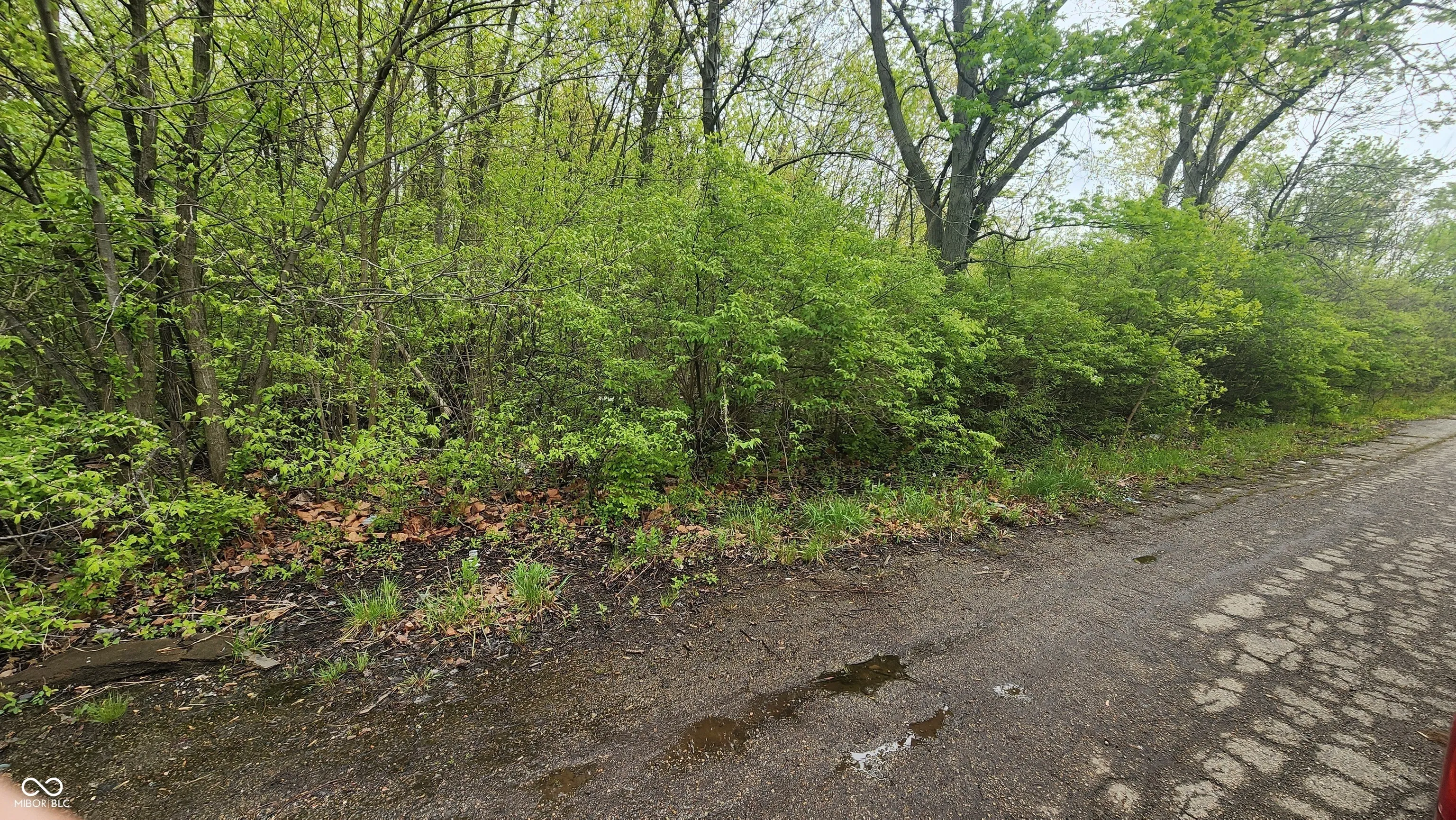 Indianapolis, Indiana 46203, United States, ,Land,Active,210613