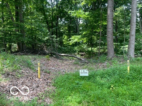 Photo for 0 Lake South Drive