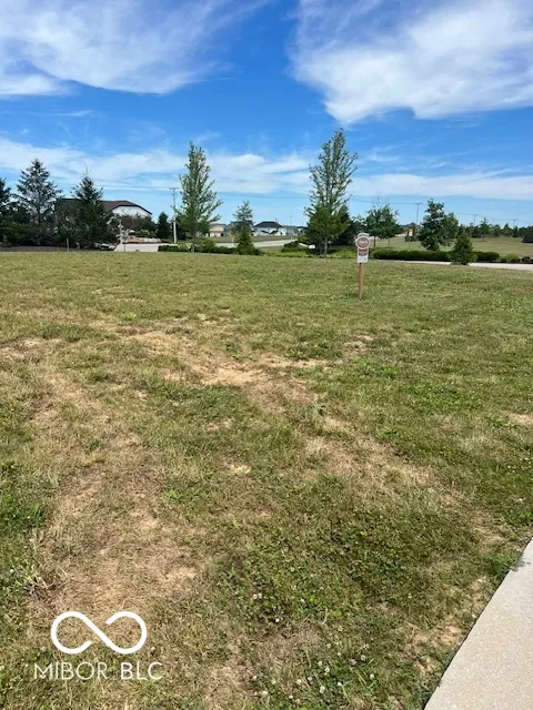 Zionsville, Indiana 46077, United States, ,Land,Active,53491