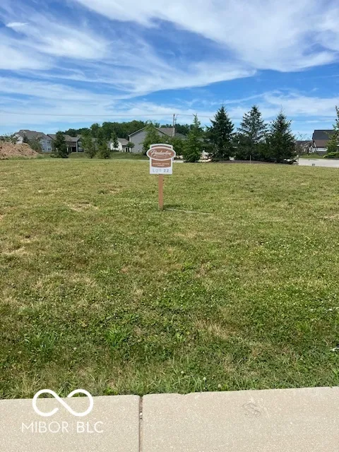 Zionsville, Indiana 46077, United States, ,Land,Active,53491