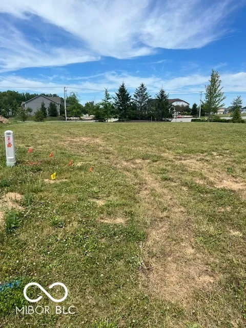 Zionsville, Indiana 46077, United States, ,Land,Active,53491