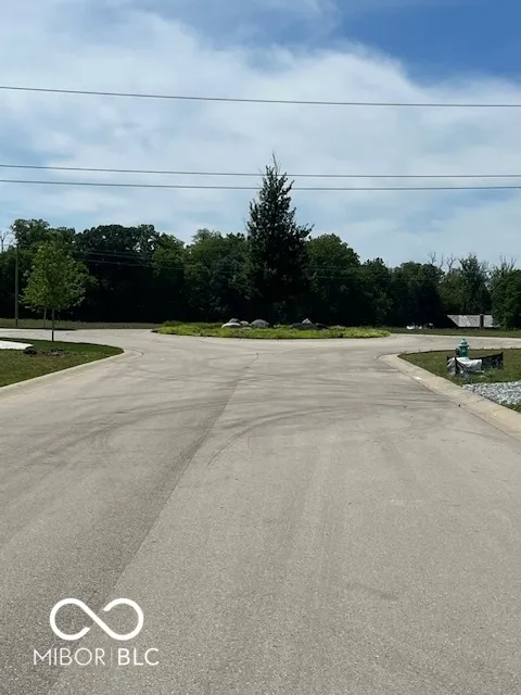 Zionsville, Indiana 46077, United States, ,Land,Active,53491