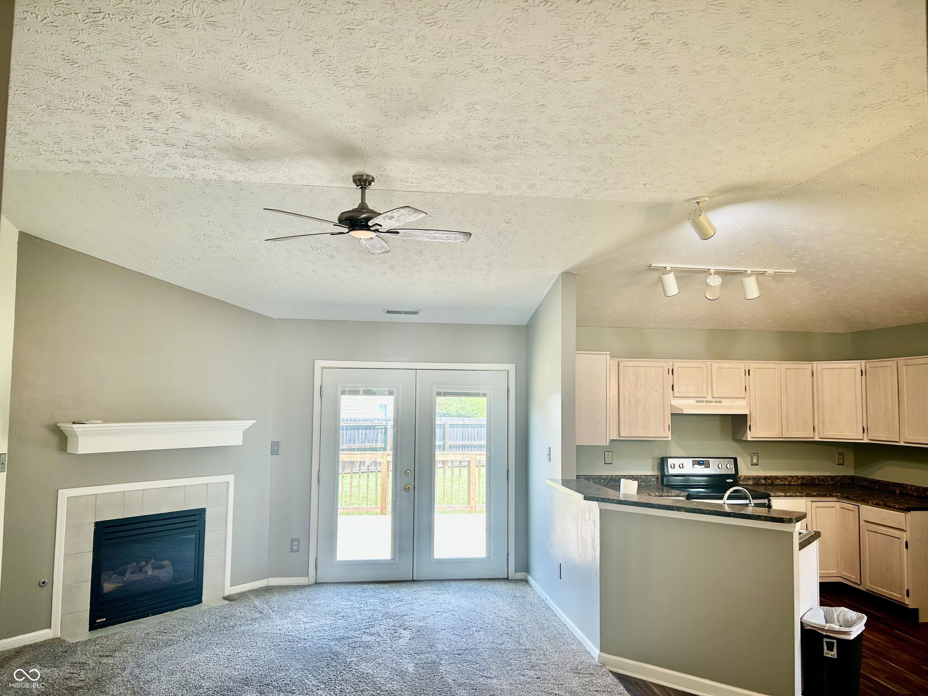 1004 Wild Ivy Trail