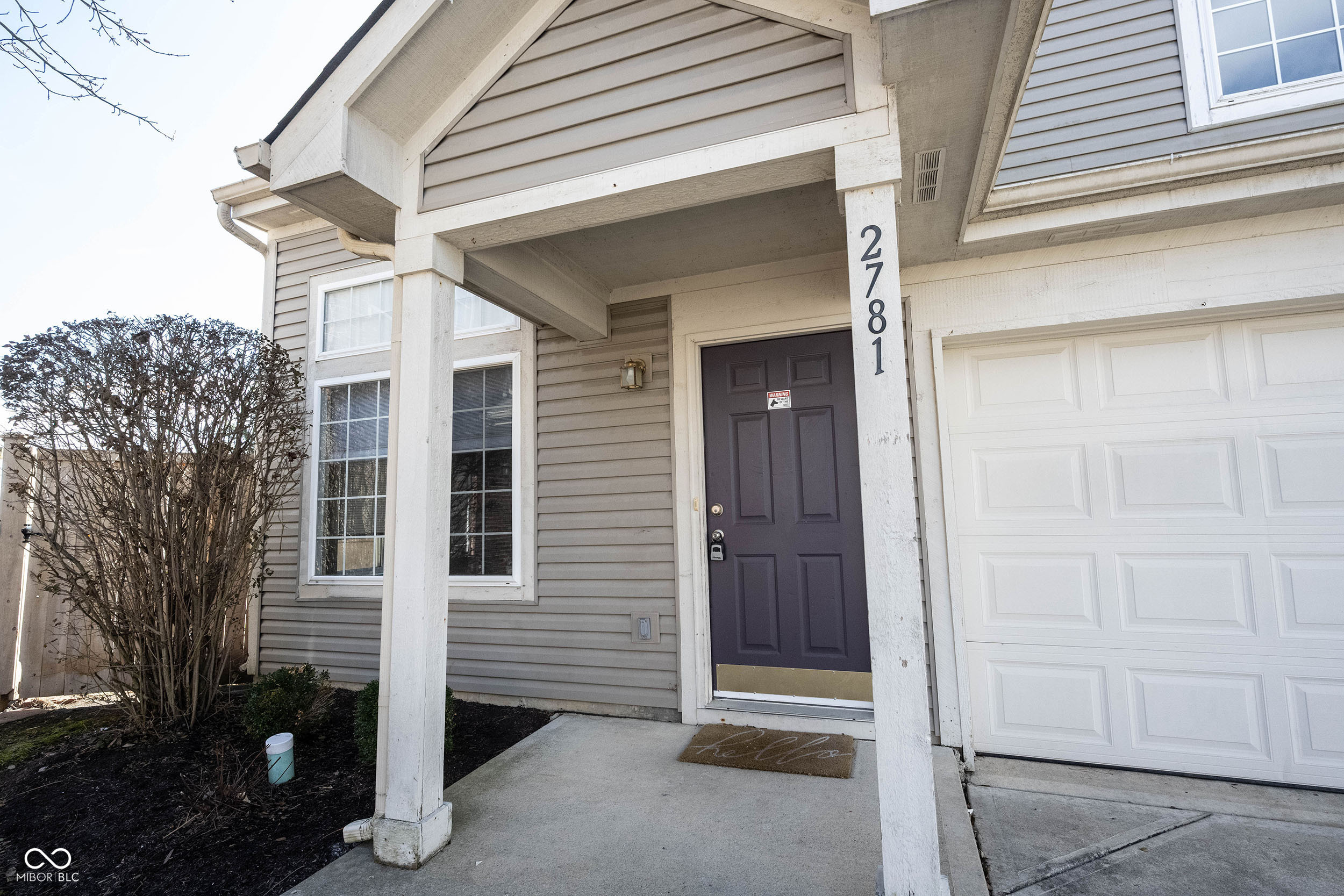 2781 Grand Fir