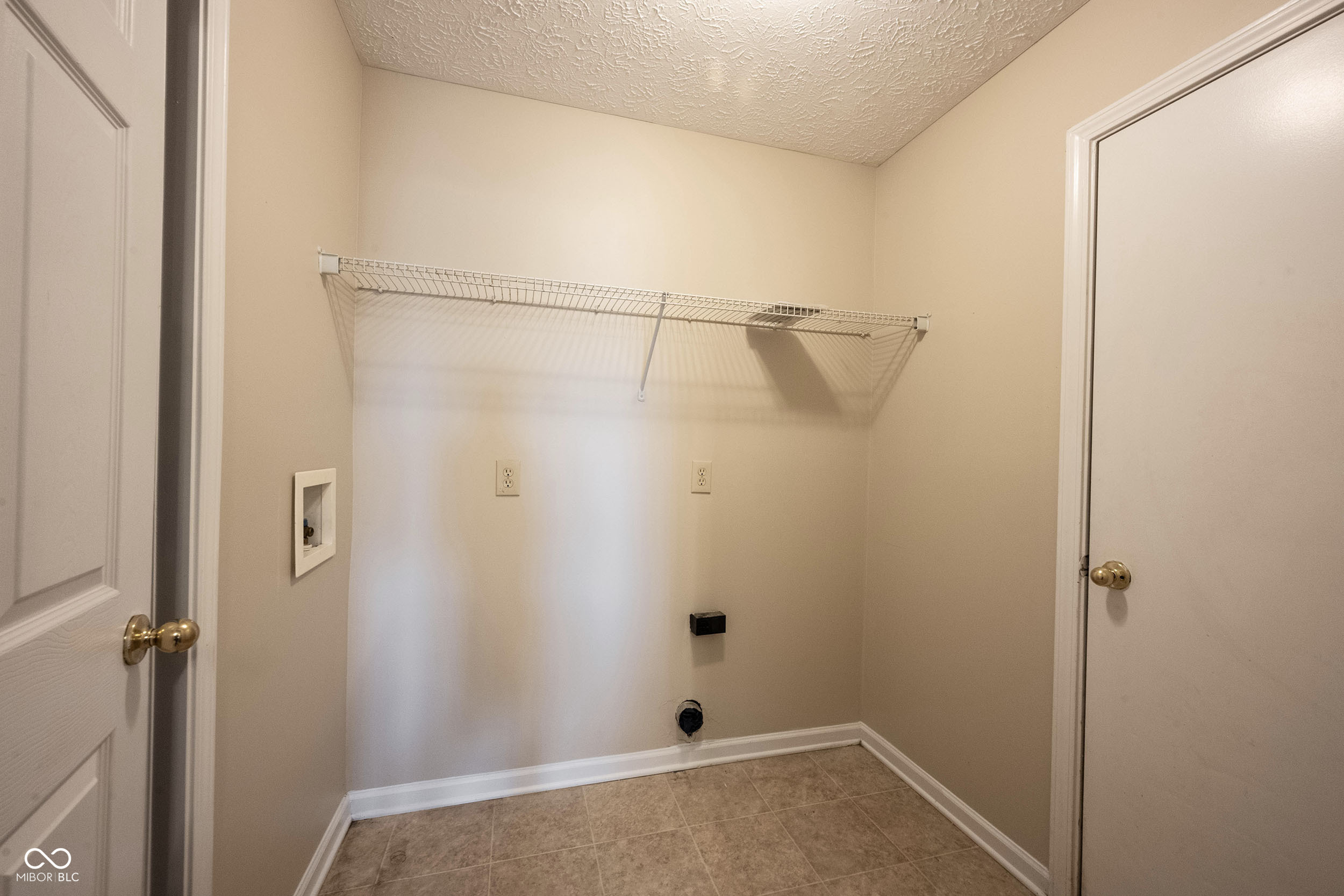 2781 Grand Fir