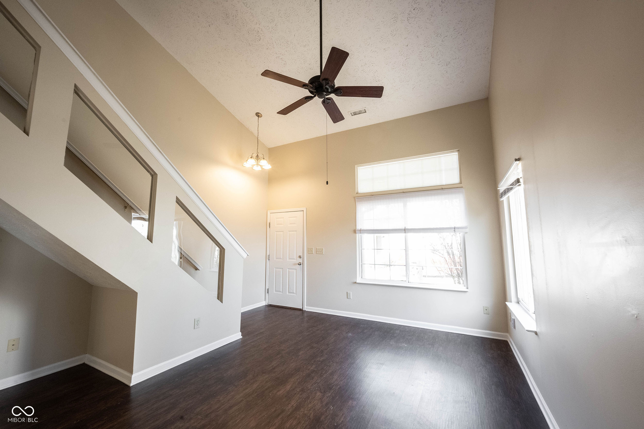 2781 Grand Fir