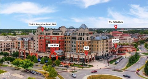 720 S Rangeline Road 703 Carmel IN 46032