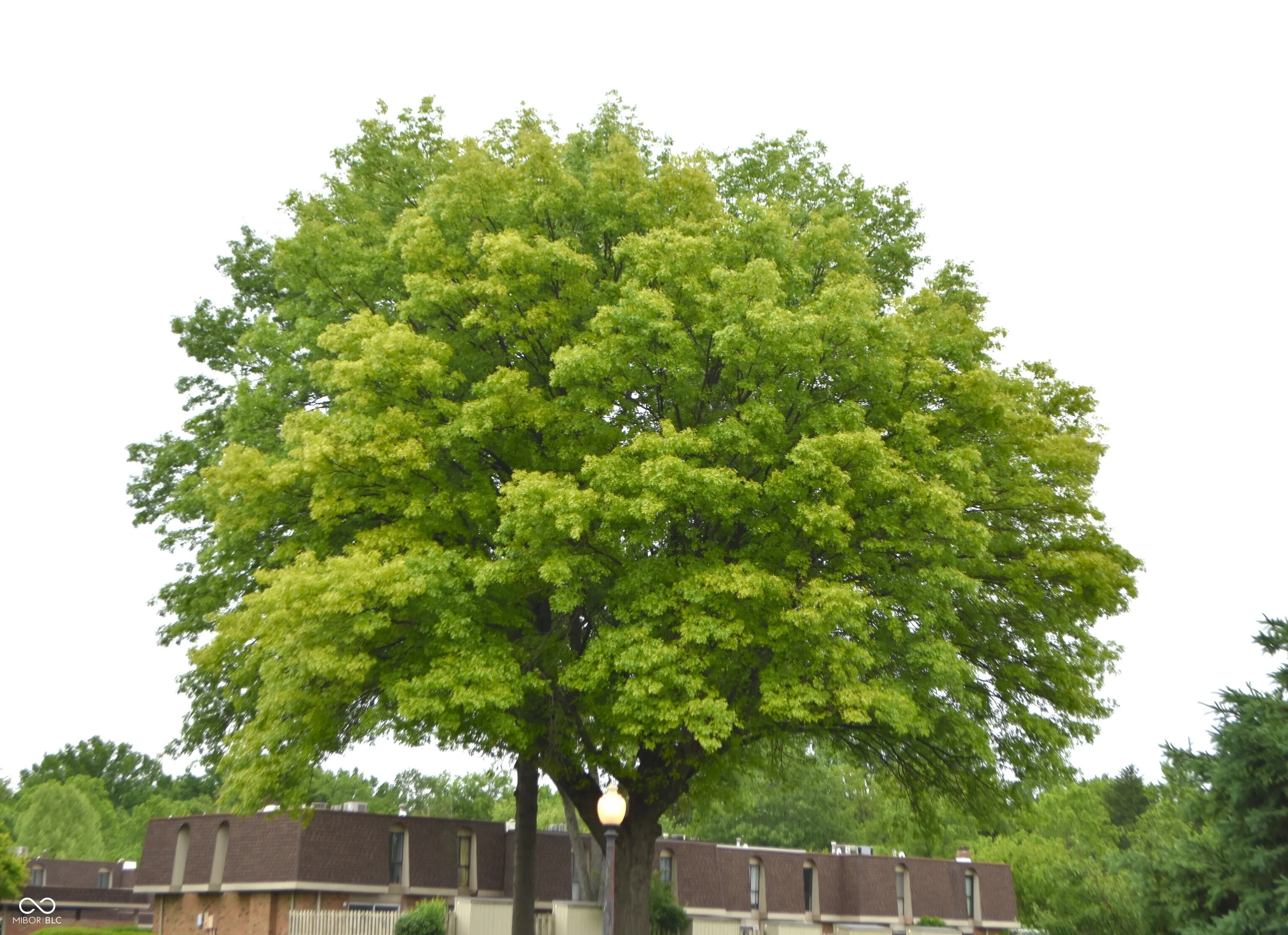 Indianapolis, Indiana 46260, United States, 2 Bedrooms Bedrooms, ,2 BathroomsBathrooms,Residential,Active,142542