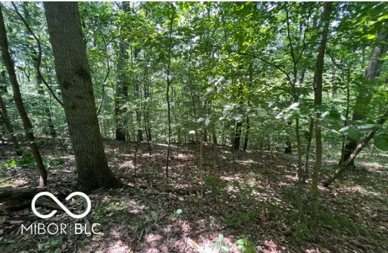 CHERRY DR, MARTINSVILLE, IN 46151 - Image 6ceb458988c7deaf716dd7d2f65f0f02/1001353094
