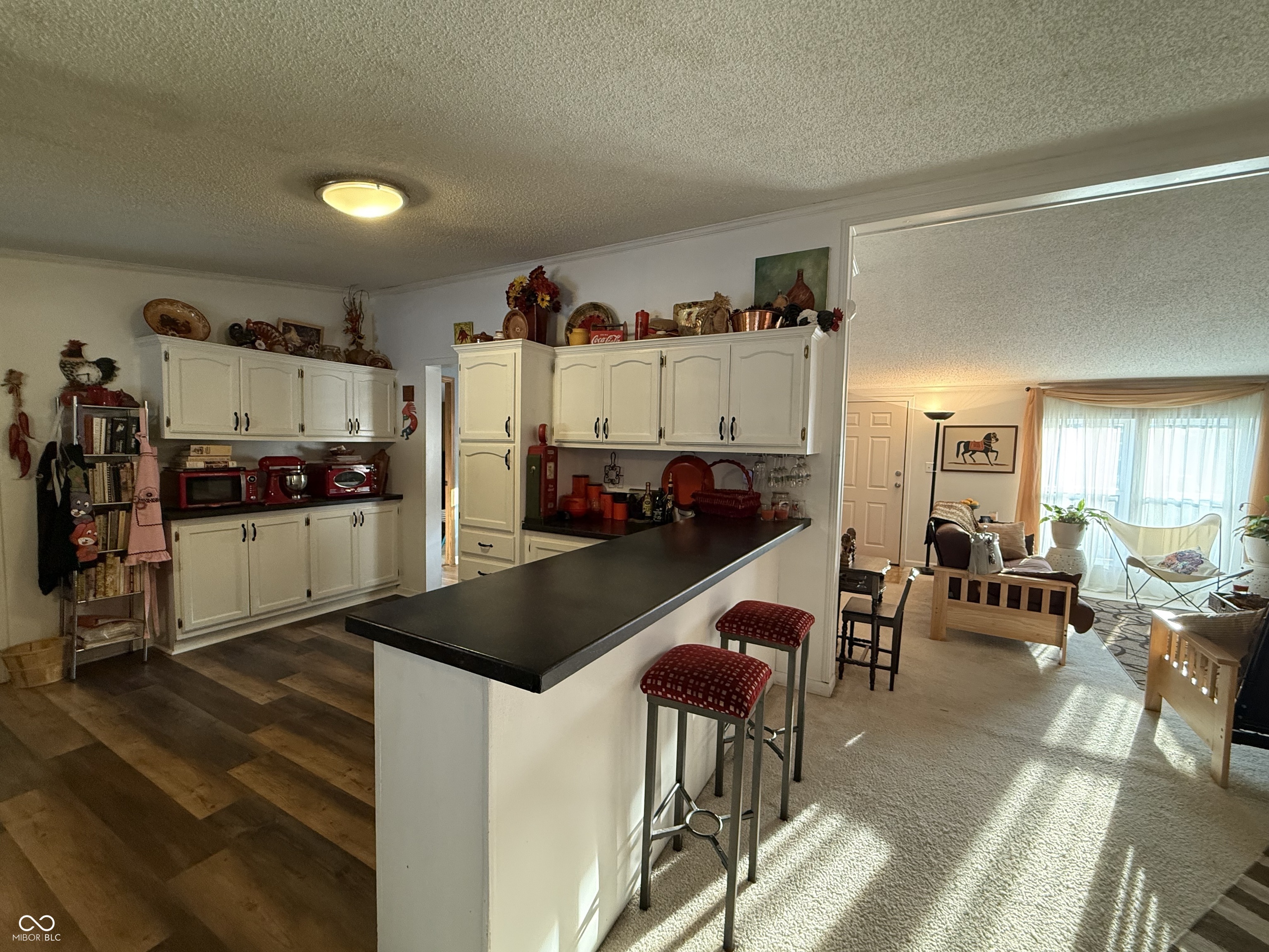 519 Dan Drive