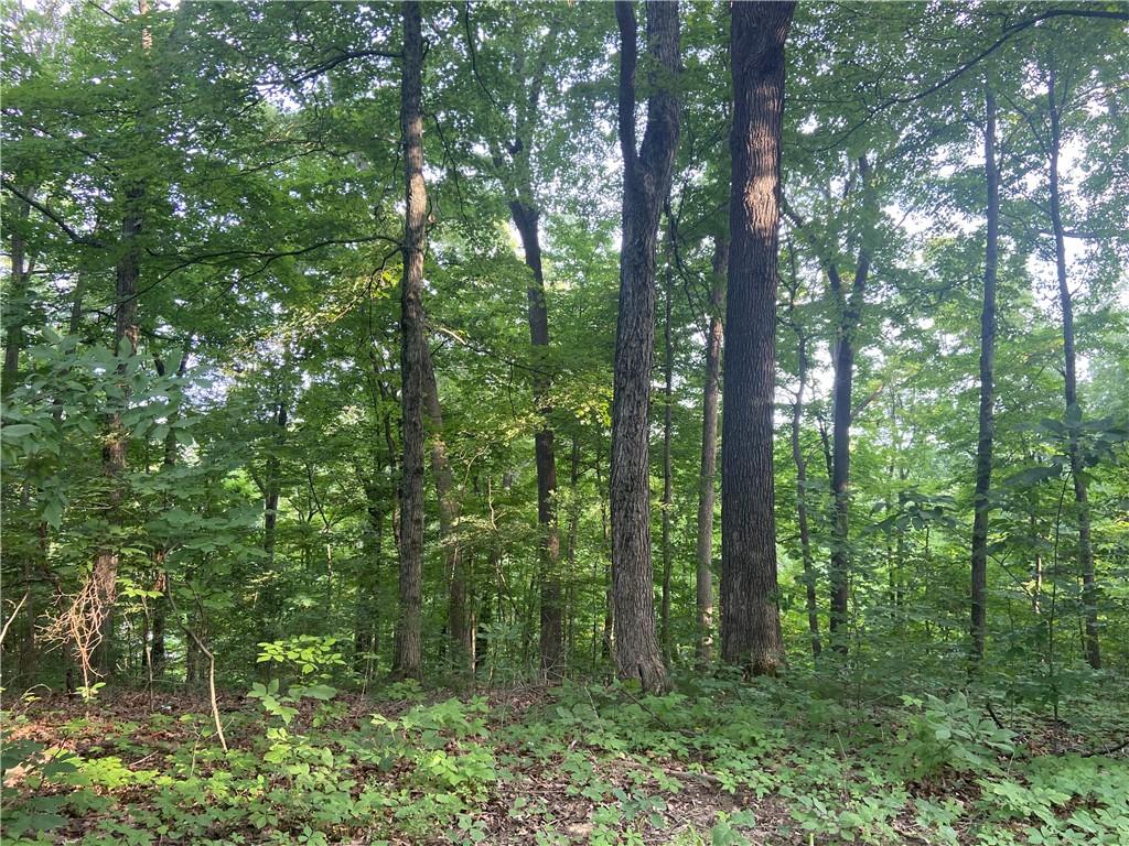 Photo 2 of 10 of 0 E Glenwood Drive land