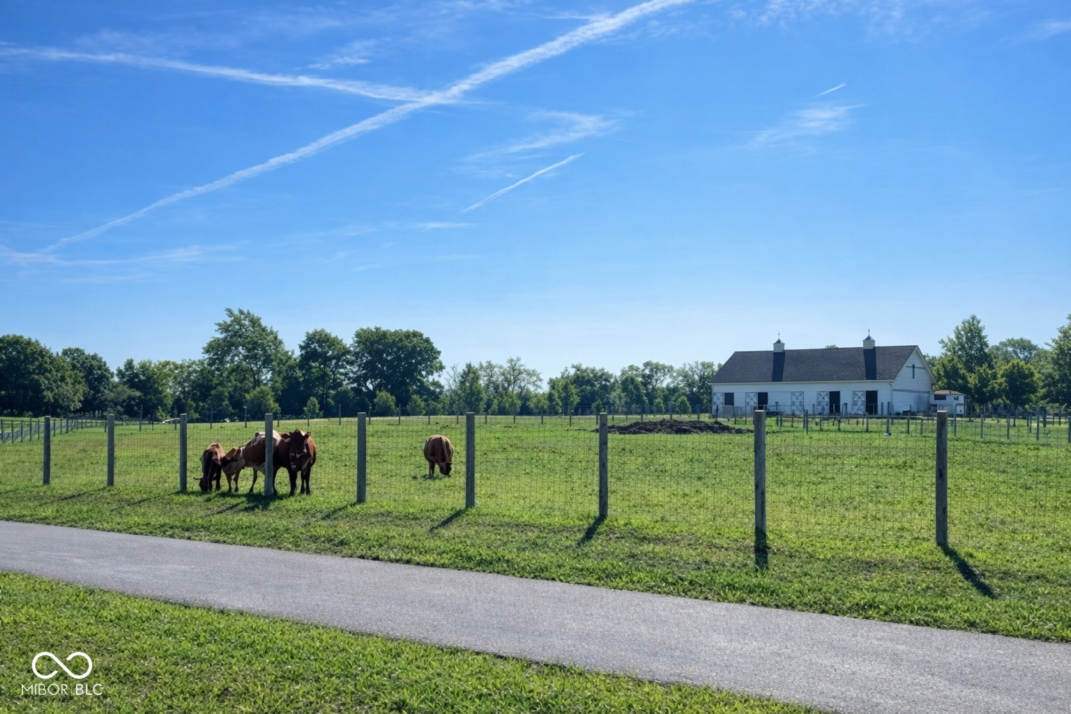 11159 Jubilation Way