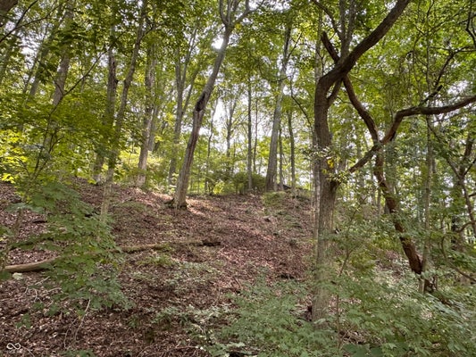 5936 S BEAR WALLOW RD, MORGANTOWN, IN 46160 - Image 75a0974c9e4e2adbf7be9181a0d0a9bd/867721449