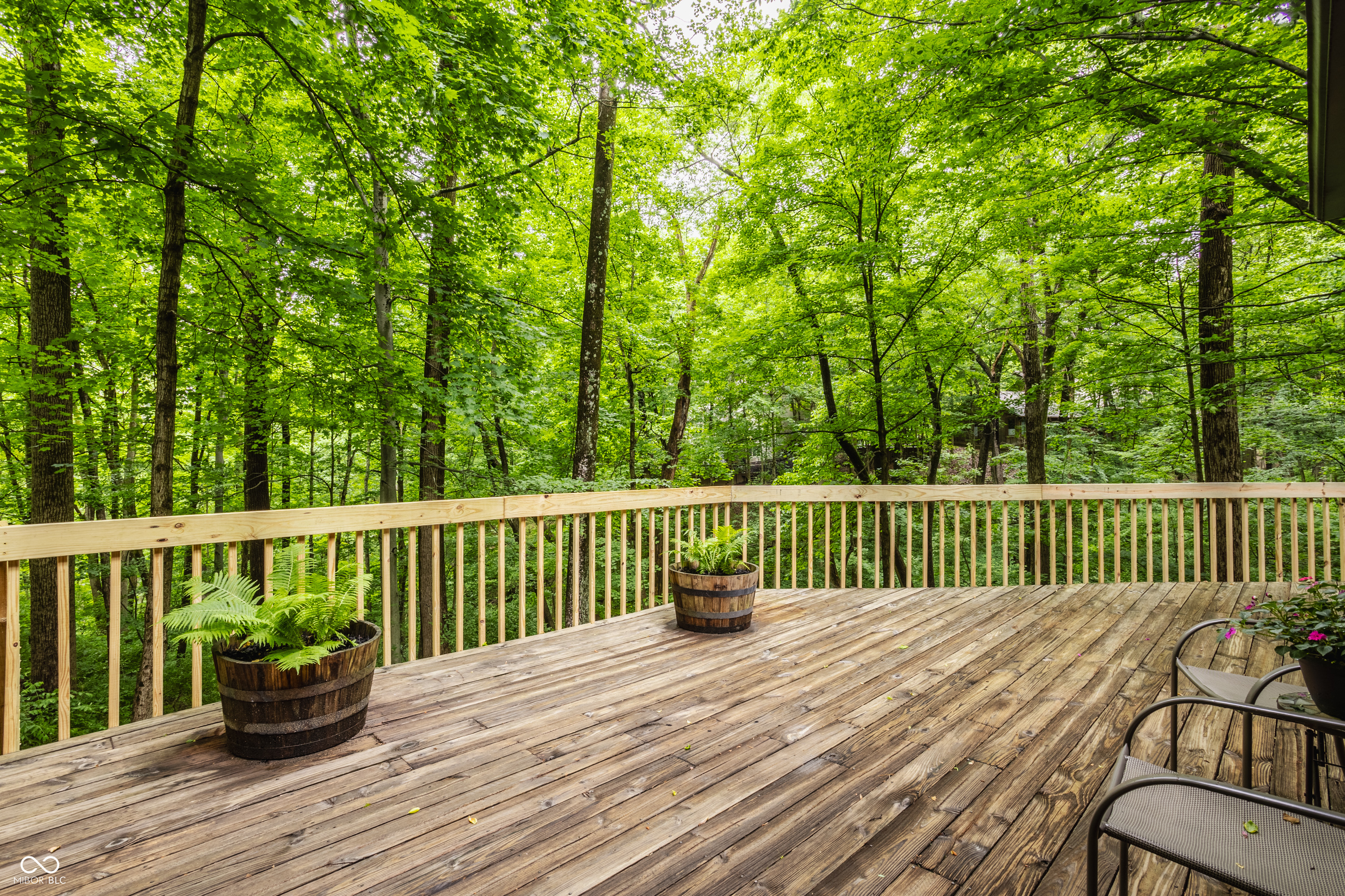 7249 Tuliptree Trail