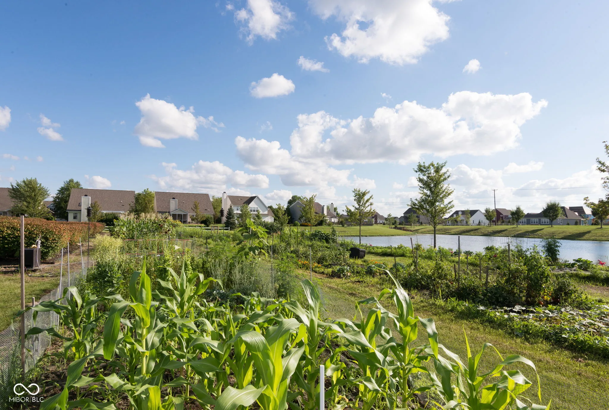 Westfield, Indiana 46074, United States, 3 Bedrooms Bedrooms, ,2 BathroomsBathrooms,Residential,Pending,10919