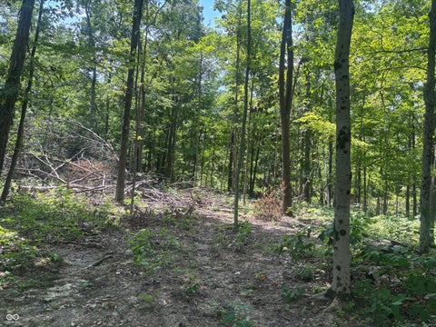 Photo for 3 Jester Road