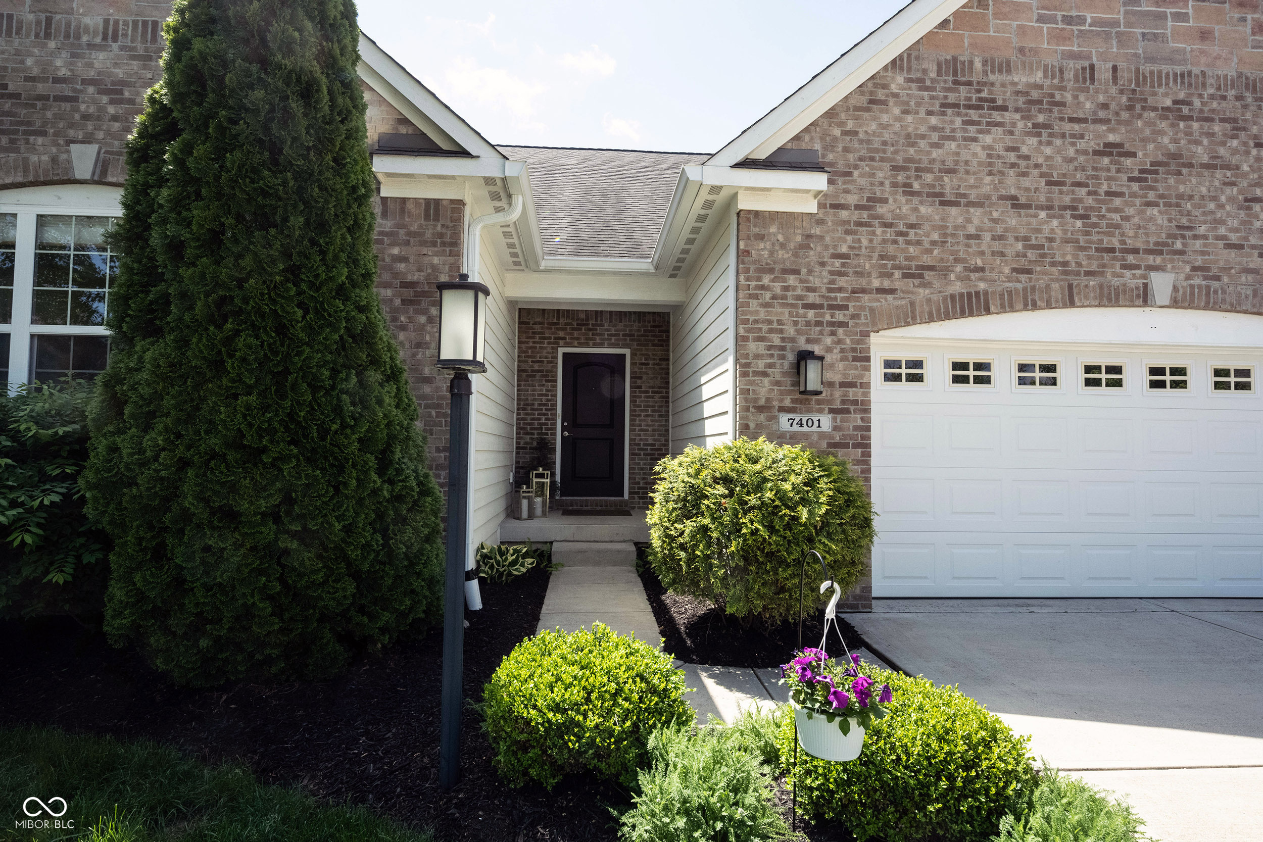 7401 Cassilly Court