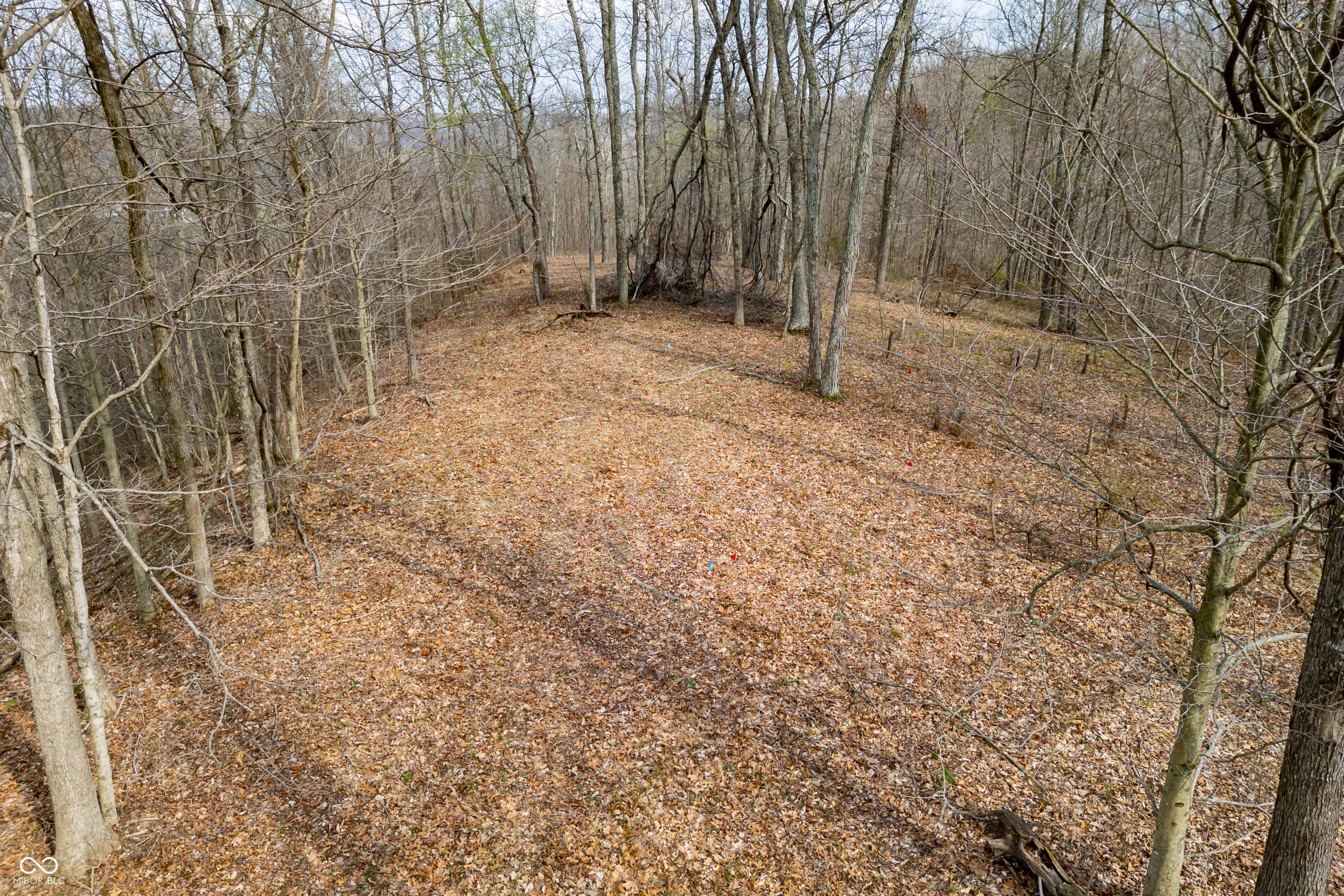 4414 Salt Creek Road