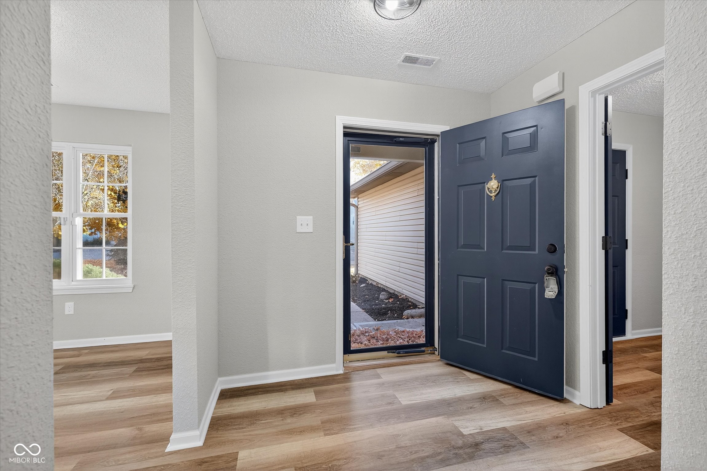 12126 Blue Springs Lane