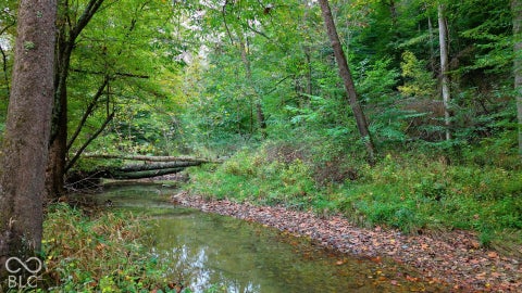 Photo for XX Rinnie Seitz Road